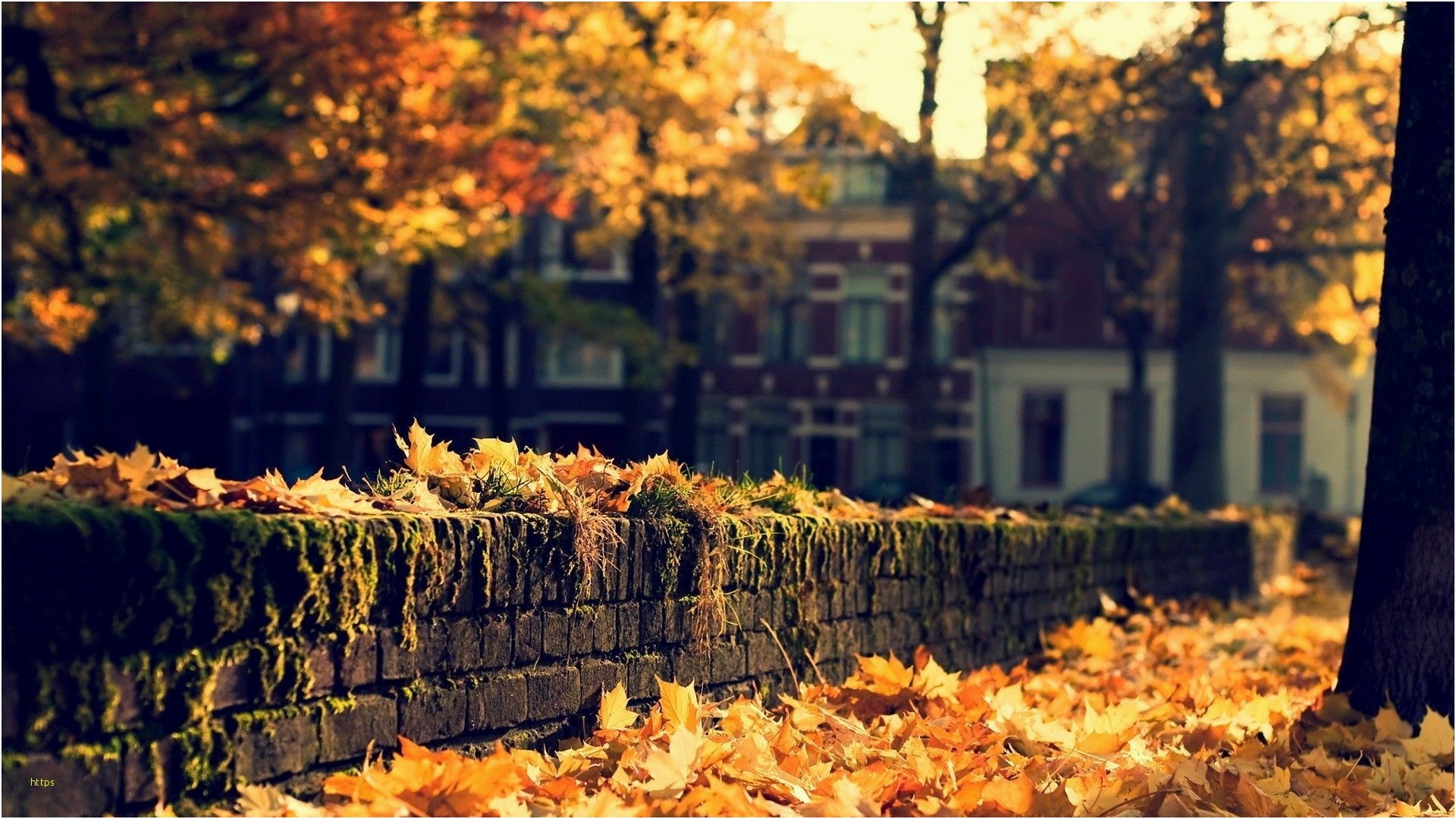1920x1080 Fall Computer Wallpaper Lovely Beautiful Autumn Wallpapers 66 Background  Pictures ...