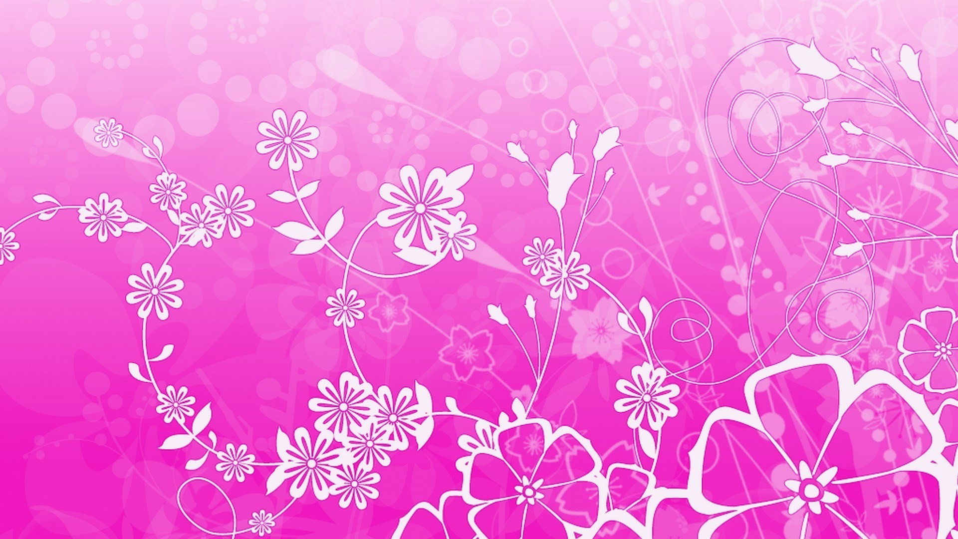 1920x1080 Pink Animated Flower Wallpaper 2019 Cute Wallpapers