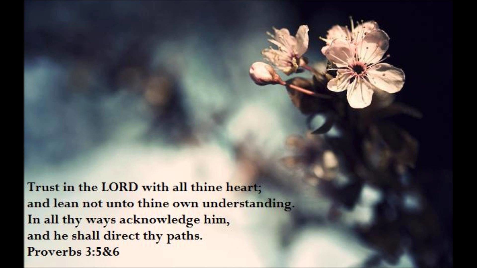 Proverbs 3 5 6 Wallpaper (58+ images)