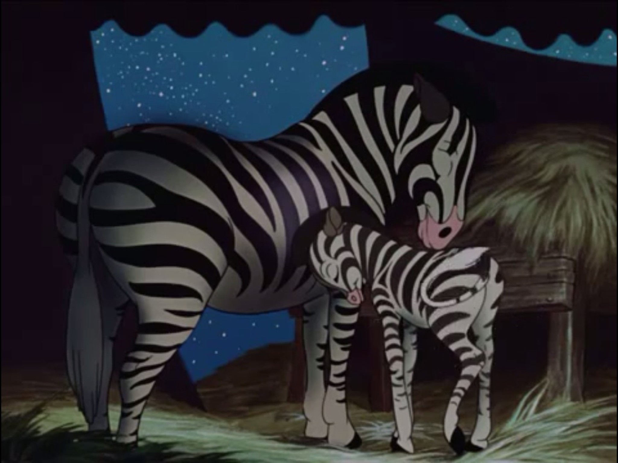 2048x1536 Image - Baby Mine Zebras.JPG - DisneyWiki