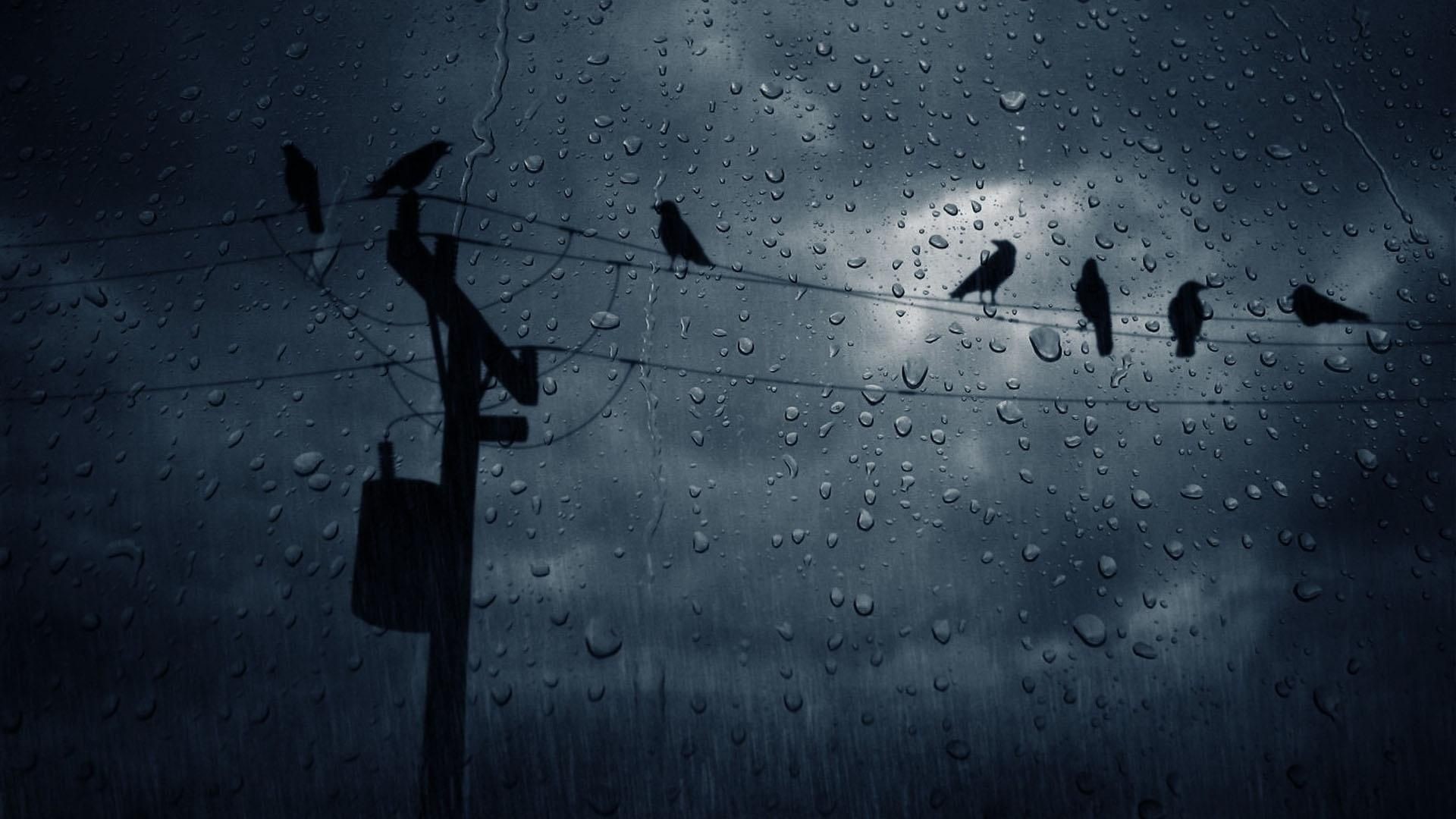 1920x1080 Rainy Night, Night Rain, Rainy Mood, Stormy Night, Crows, Rain Wallpapers