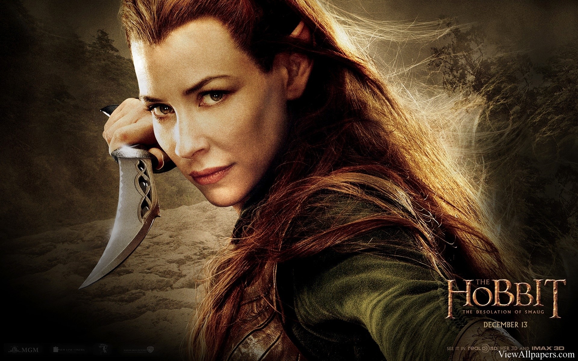 1920x1200 The Hobbit The Desolation of Smaug Tauriel HD Wallpaper