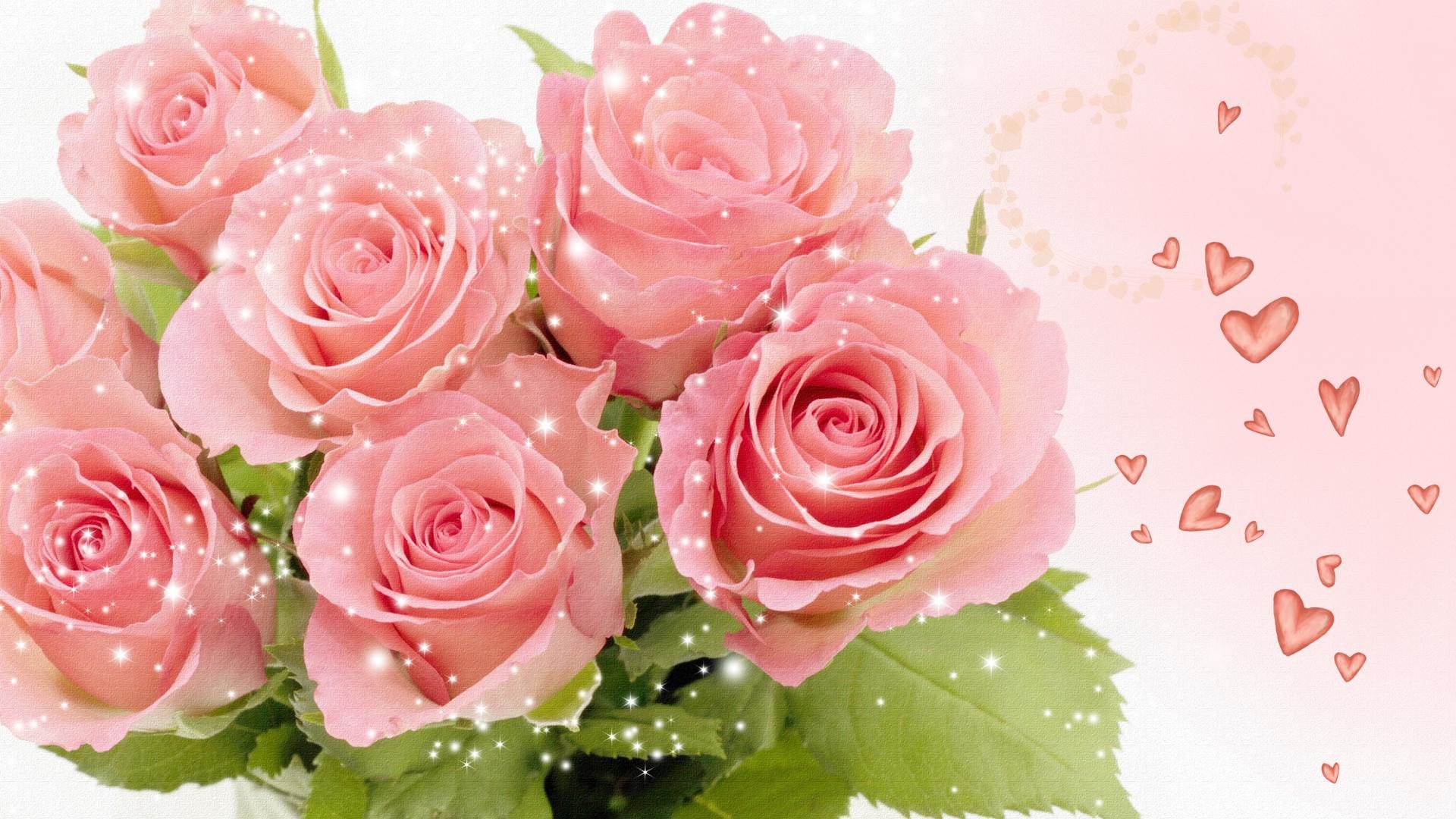1920x1080 Pink rose pictures bouquet.