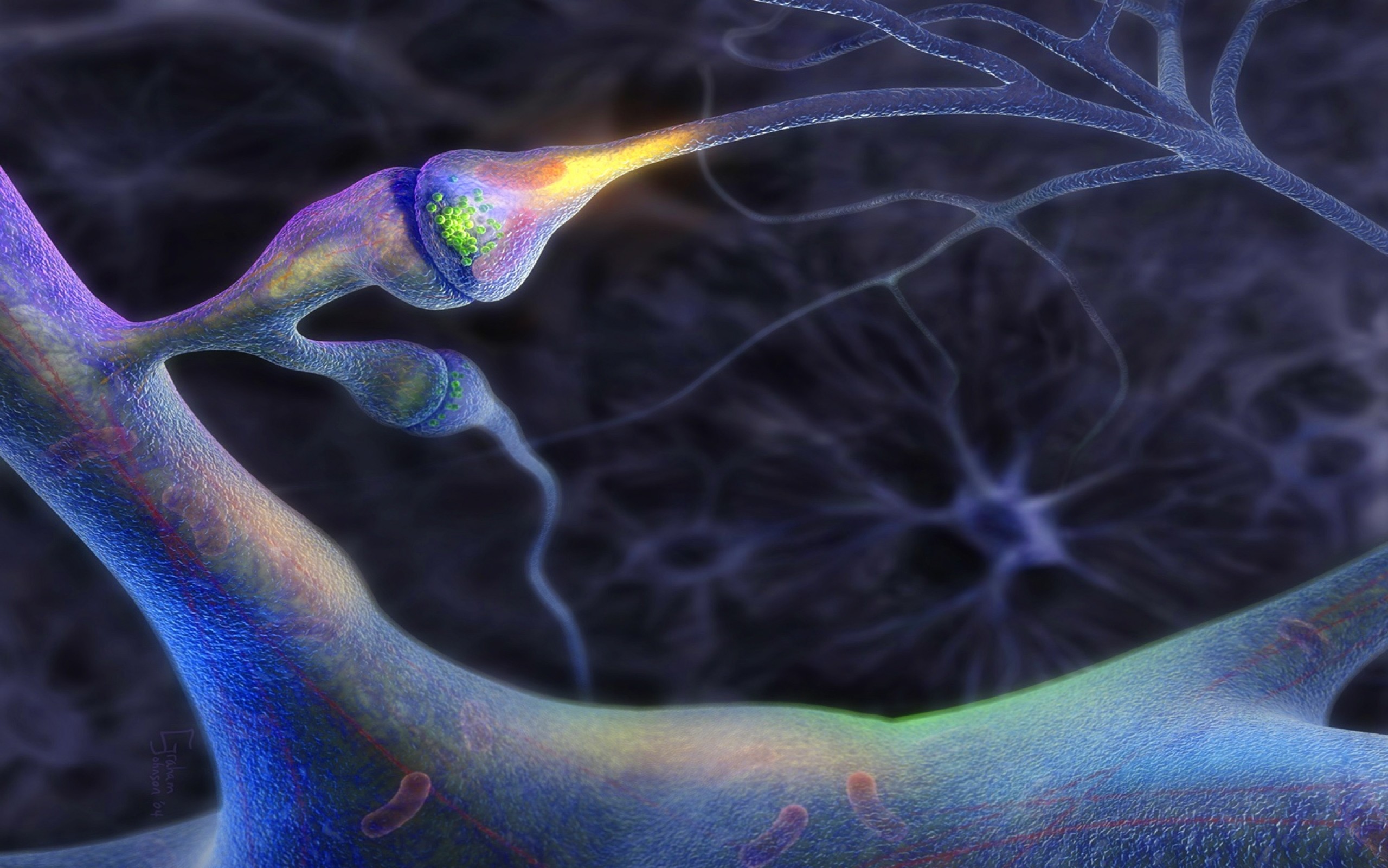 Neural network illustration, nervous system, axons, dendrits, glowing nerve  cells, science background wallpaper, 3d illustration, 3d illustration Stock  Illustration | Adobe Stock