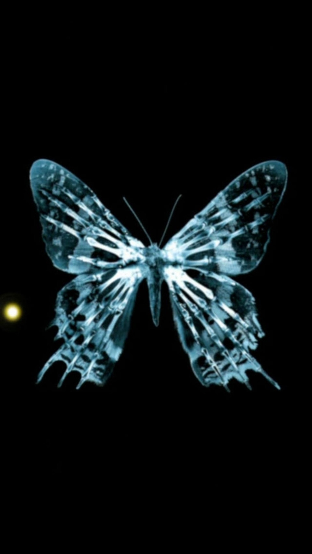 1080x1920 Dark Shiny Light Transparent Butterfly Art #iPhone #6 #plus #wallpaper