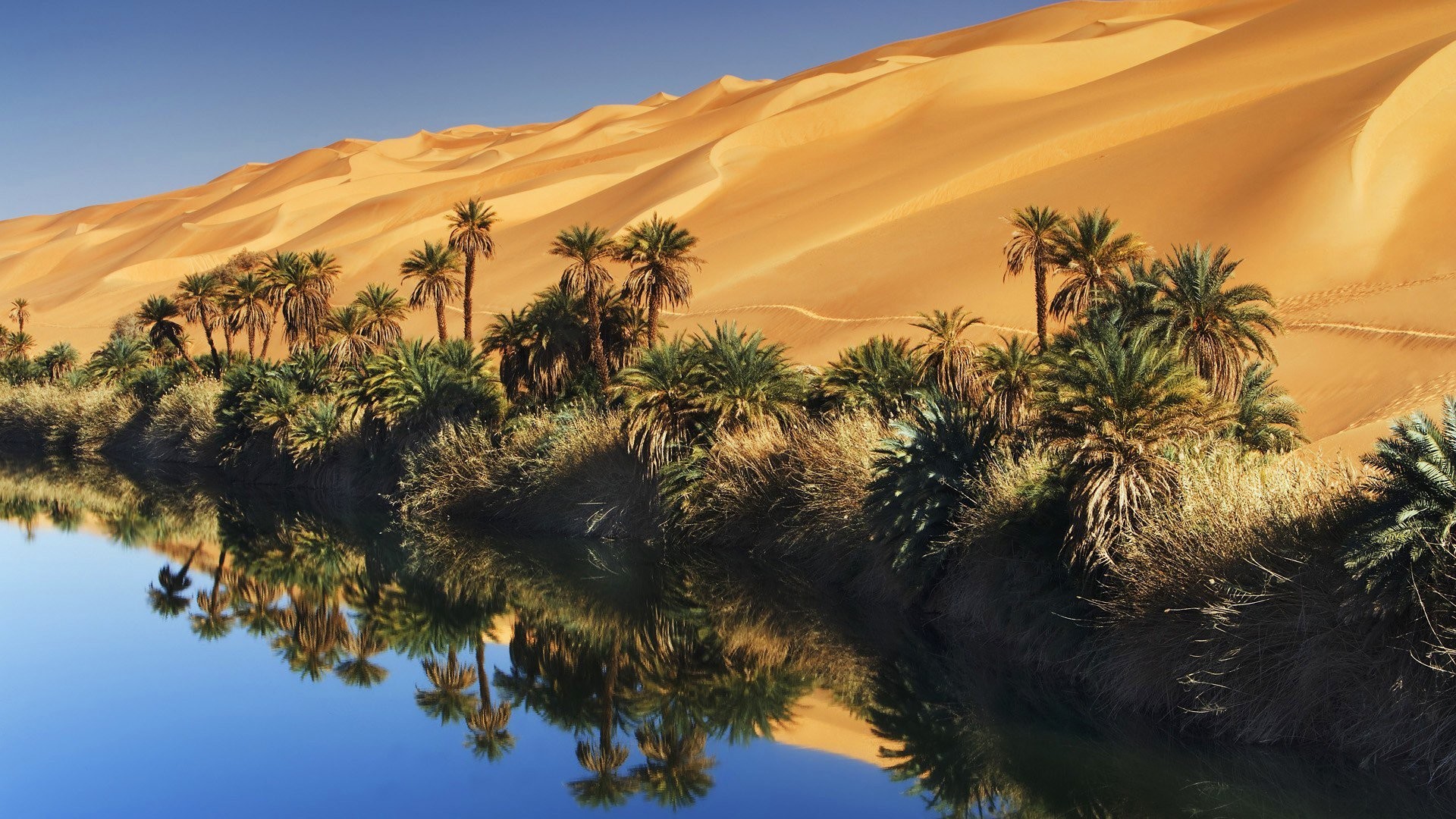1920x1080 sky sand water palm oasis desert