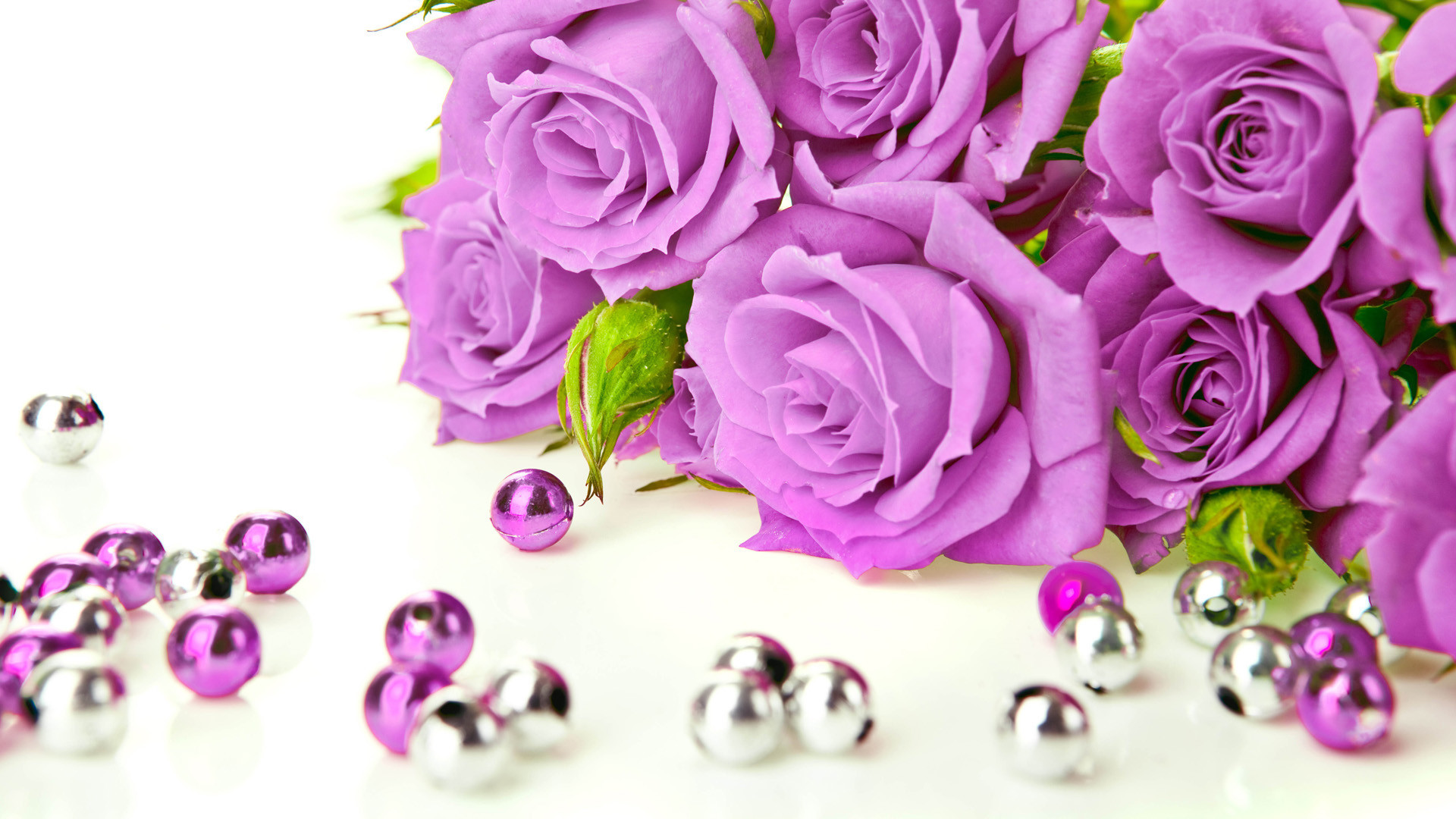 1920x1080  beautiful roses wallpapers photos pics images pictures (13)