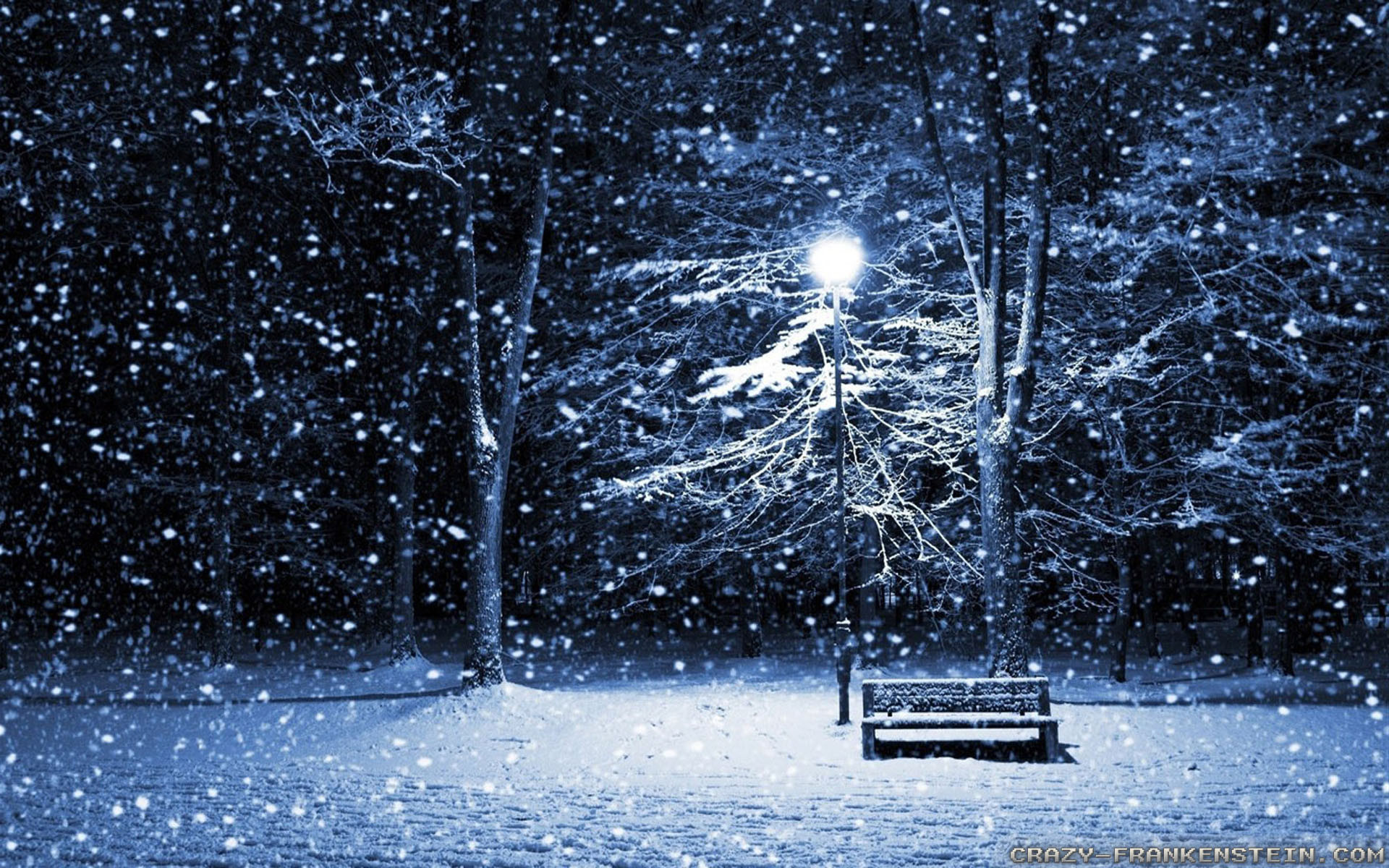 1920x1200 Awesome Winter Pictures | Cute Pictures & Videos - Geniusbeauty 60 Beautiful  ...