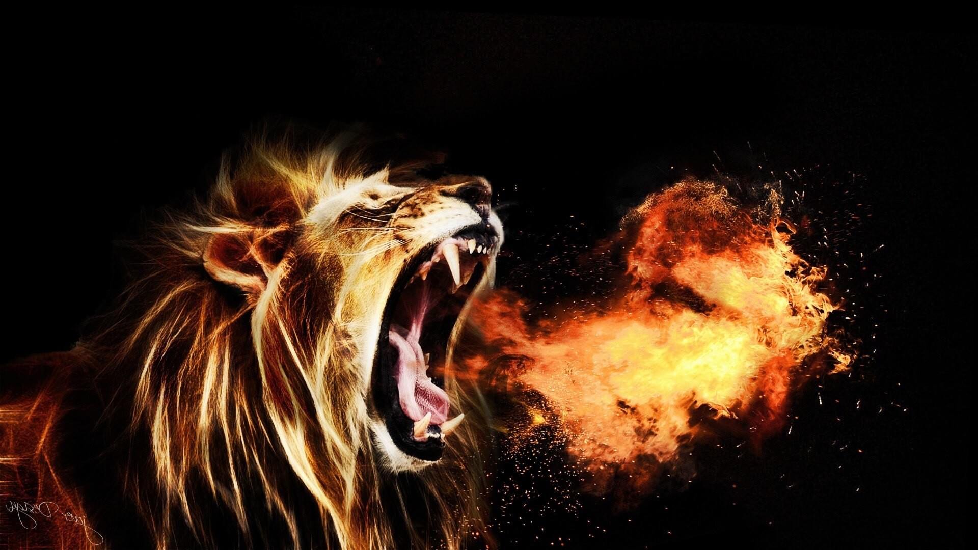 1920x1080 ... Lion HD Wallpapers | Lion HD Pictures | Free Download – HD .