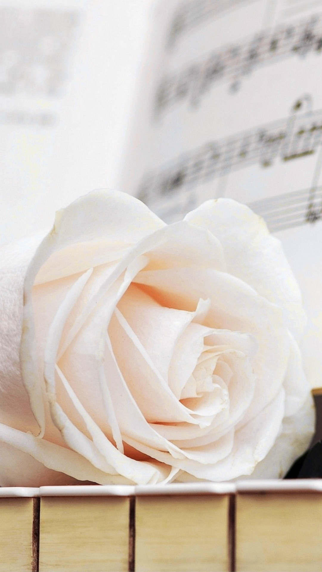 1080x1920 Pure White Rose Music Note iPhone 8 wallpaper