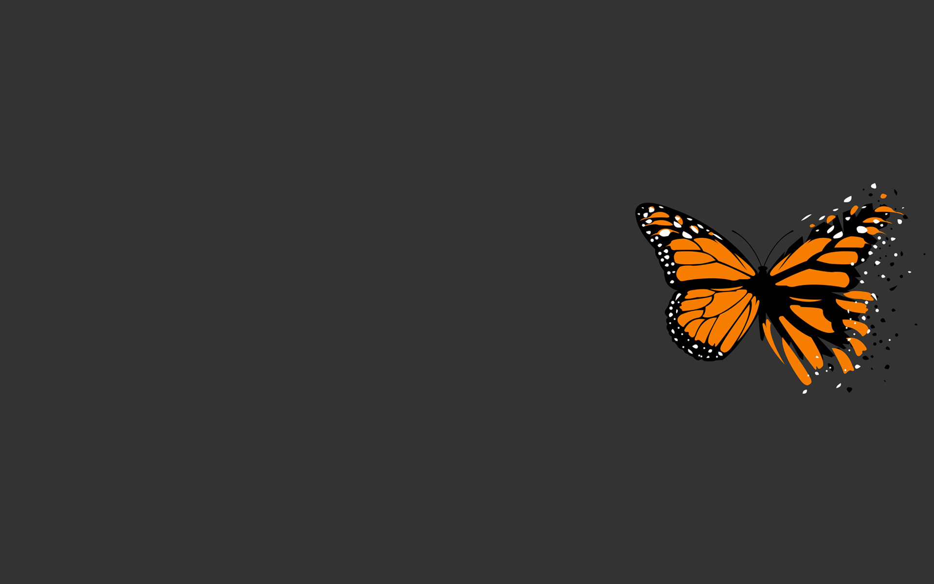 1920x1200 orange and black butterfly with simple grey background