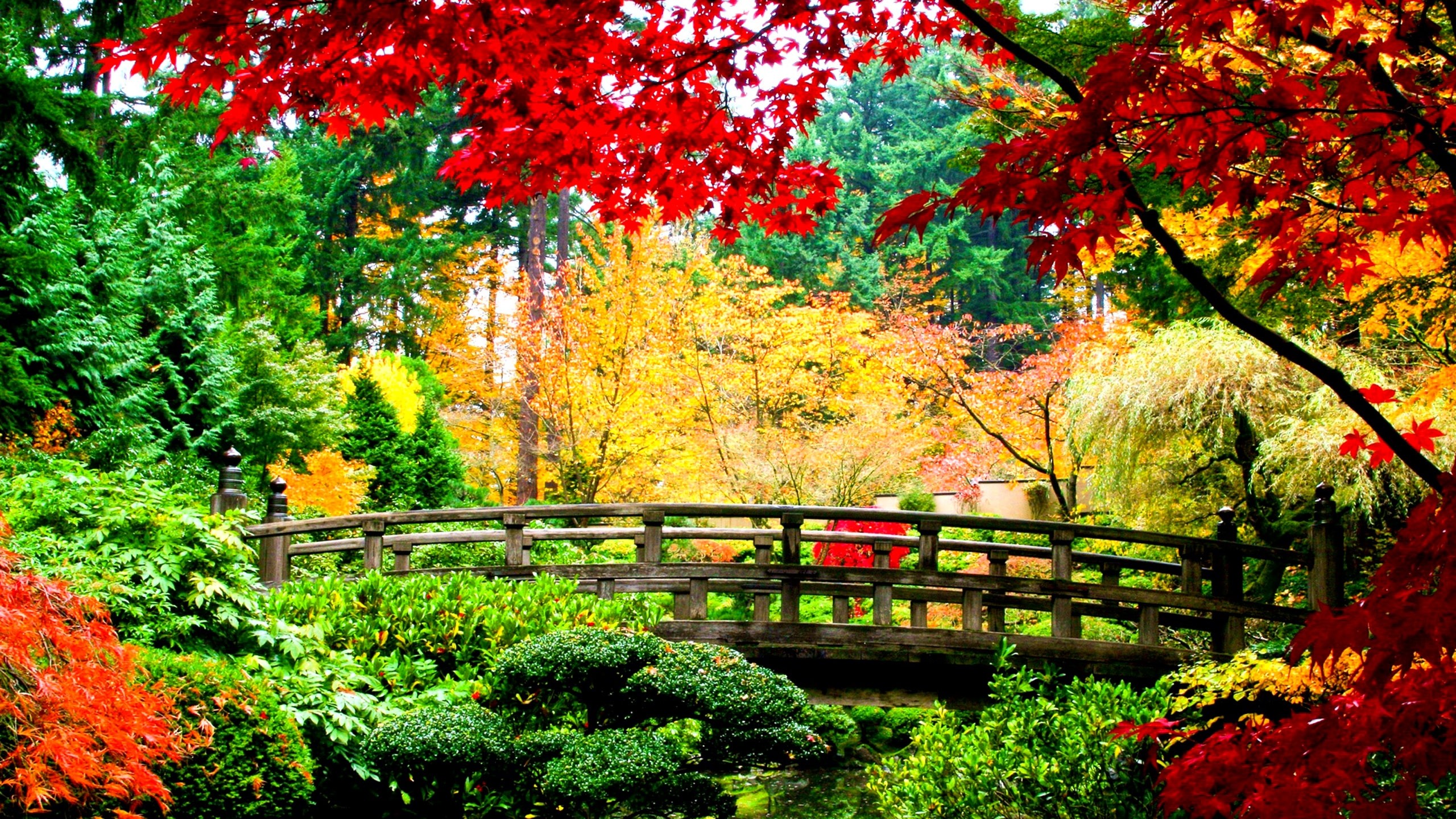 2560x1440 Usa garden autumn portland japanese shrubs trees nature wallpaper - Find  This Pin And More On
