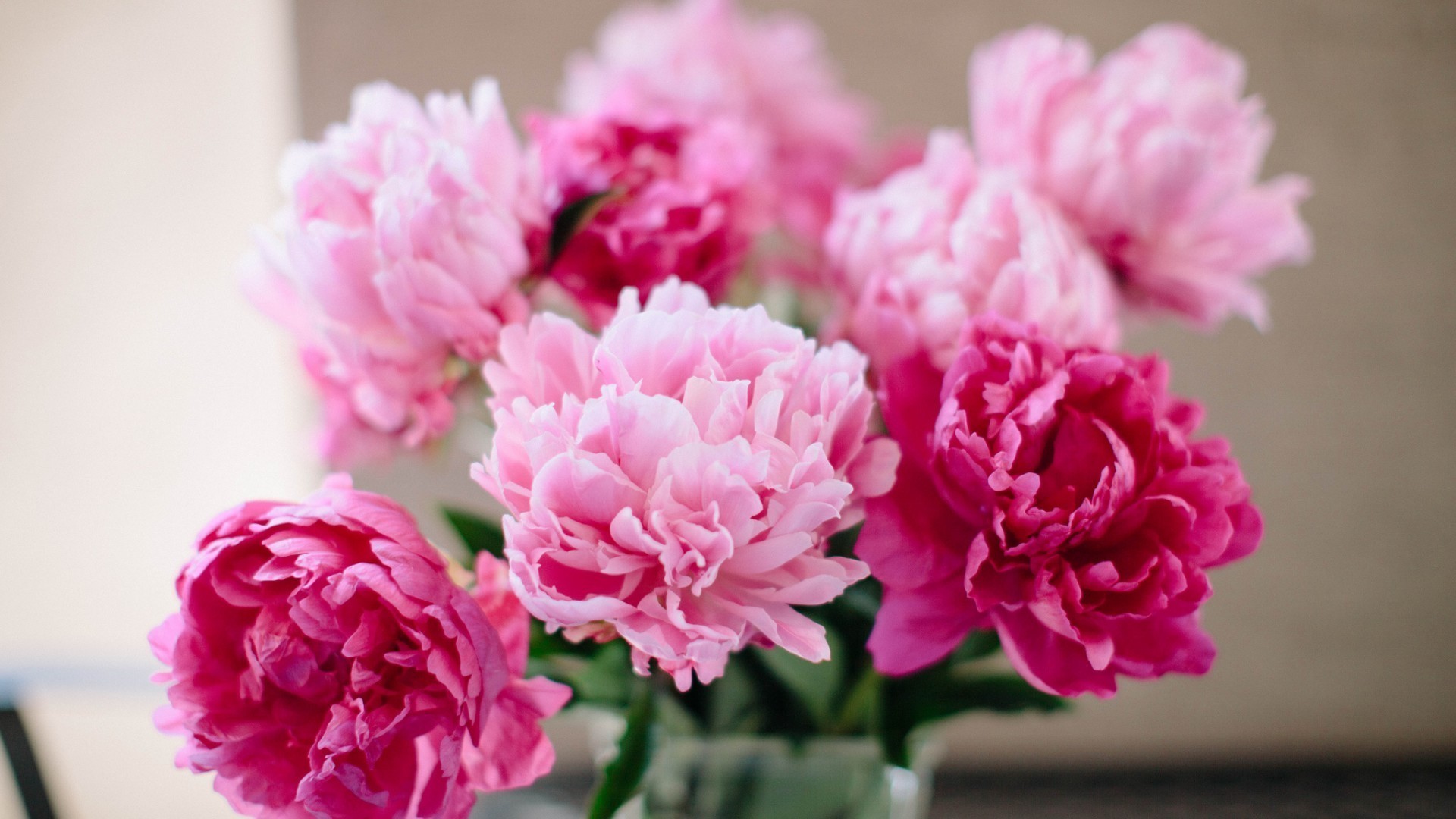 1920x1080 1920x1180 A bouquet of blue Flowers vase of pink peonies. Desktop wallpapers  for free.