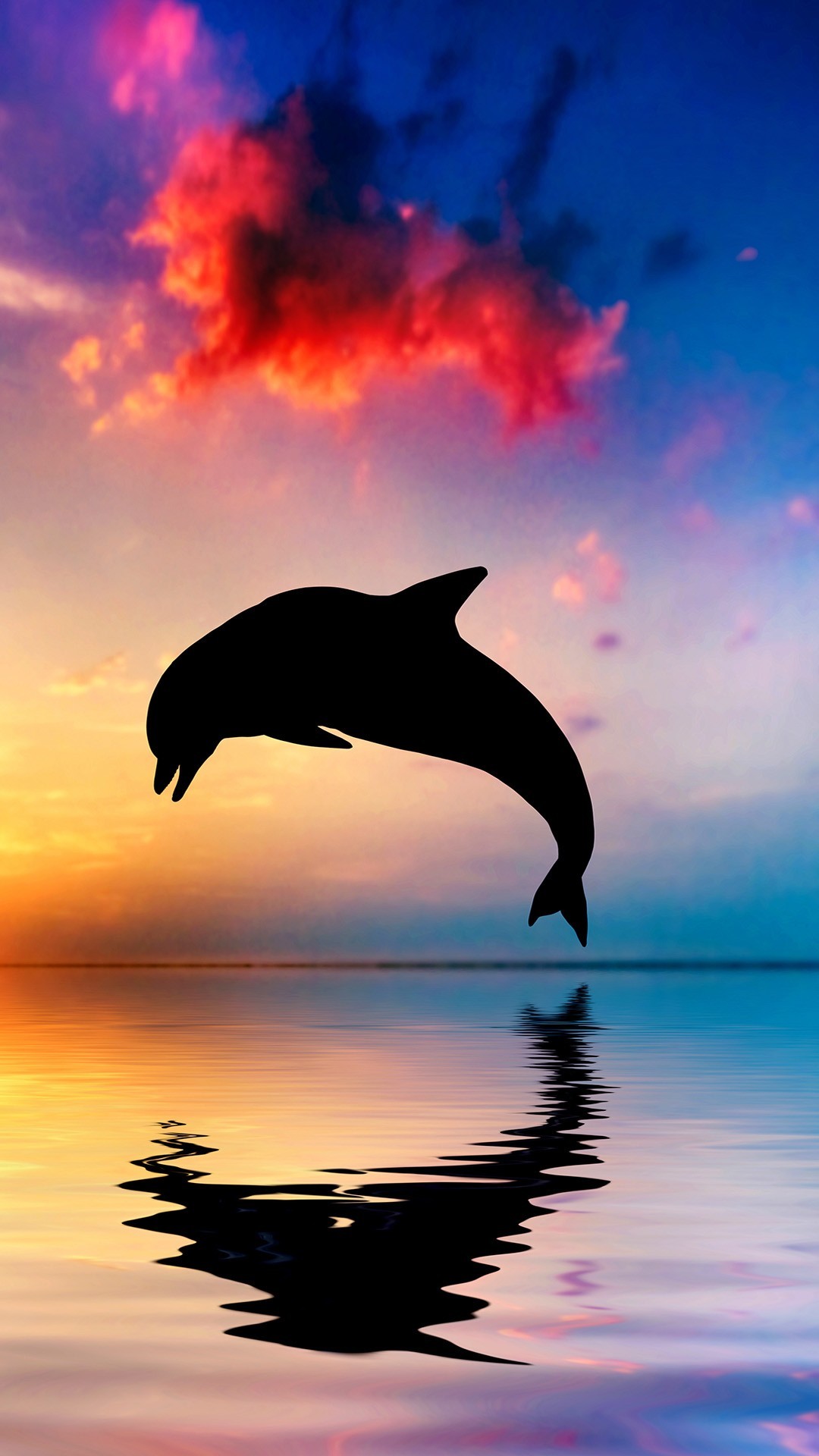 1080x1920 Dolphin bounce the sea