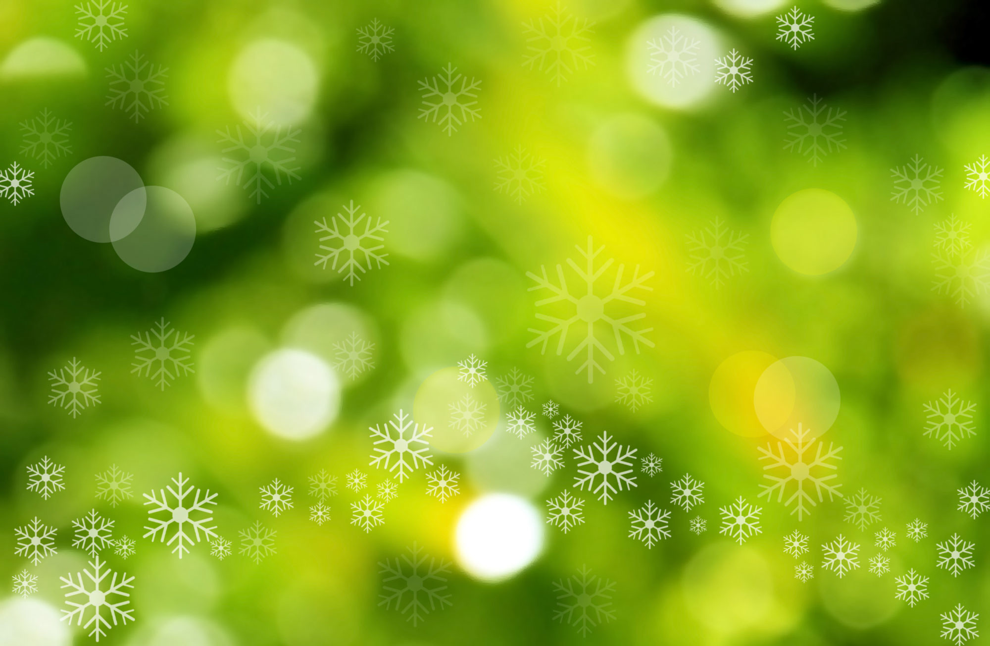 2000x1304 Light Green Christmas Background (09)