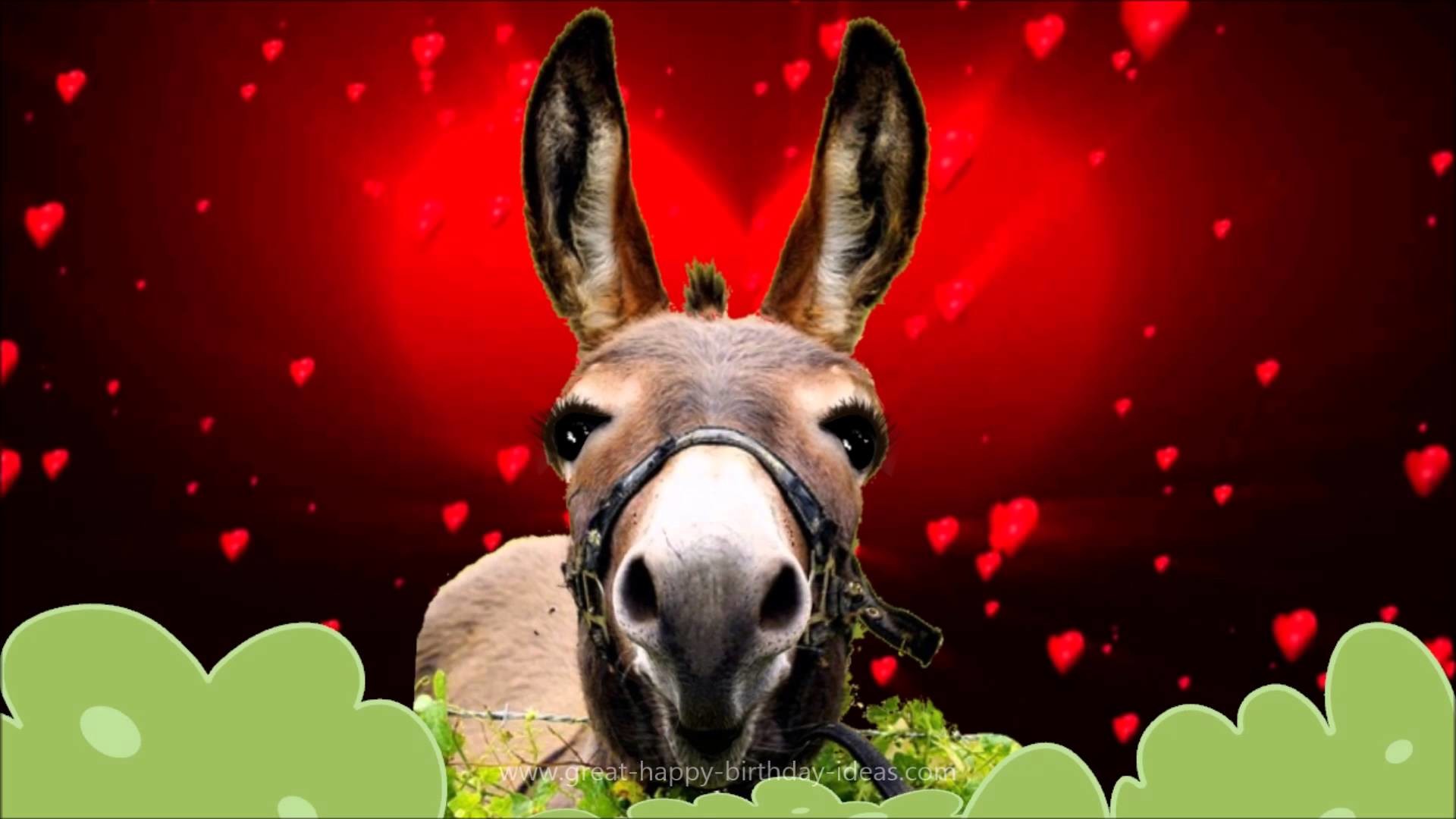 1920x1080 Donkey's Valentines Day Wish â¡