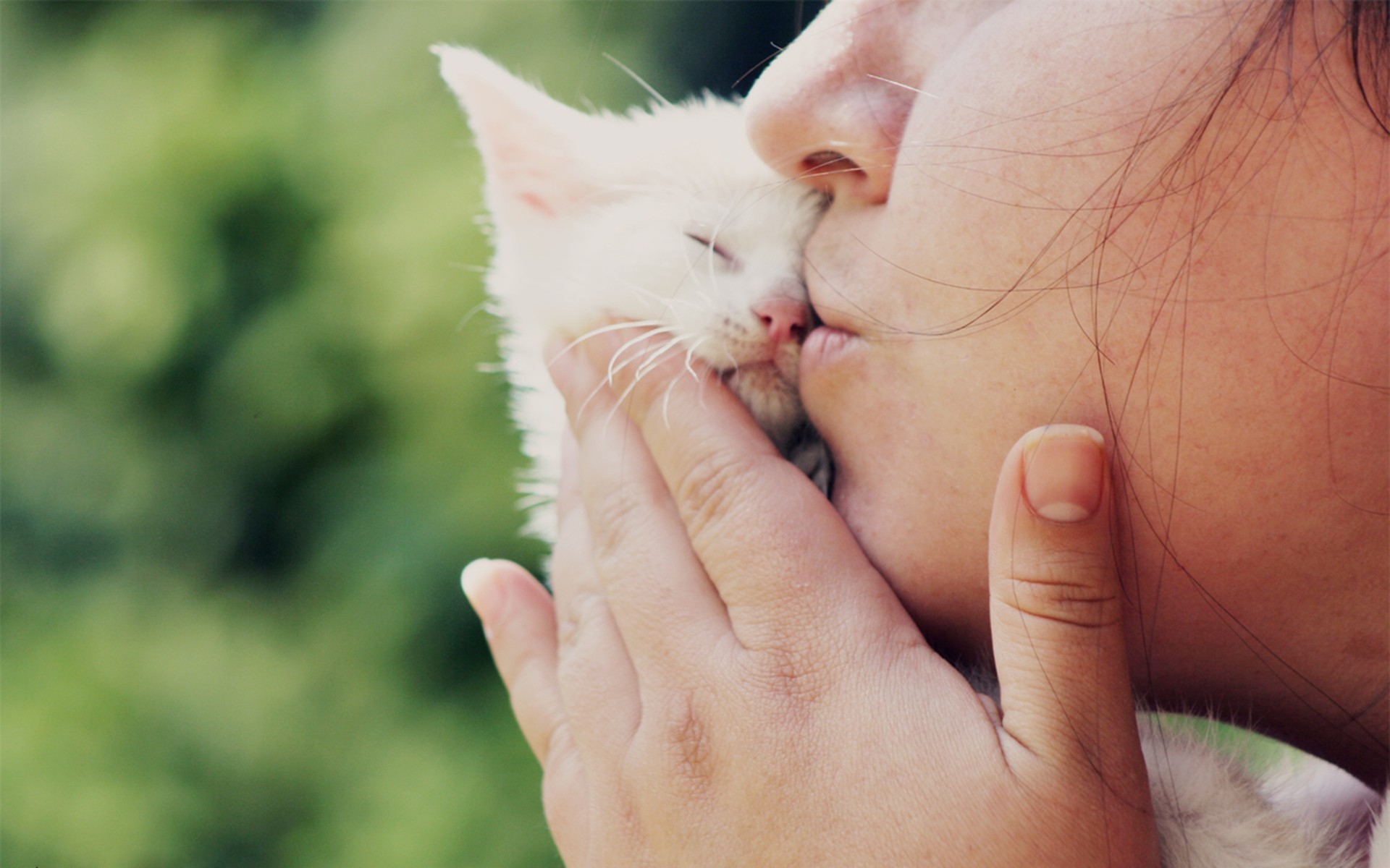 1920x1200 Girl Kissing Small White Cat wallpapers and stock photos