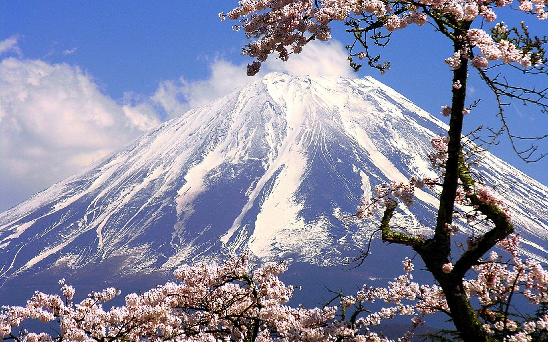 1920x1200 Mount Fuji Japan 829459