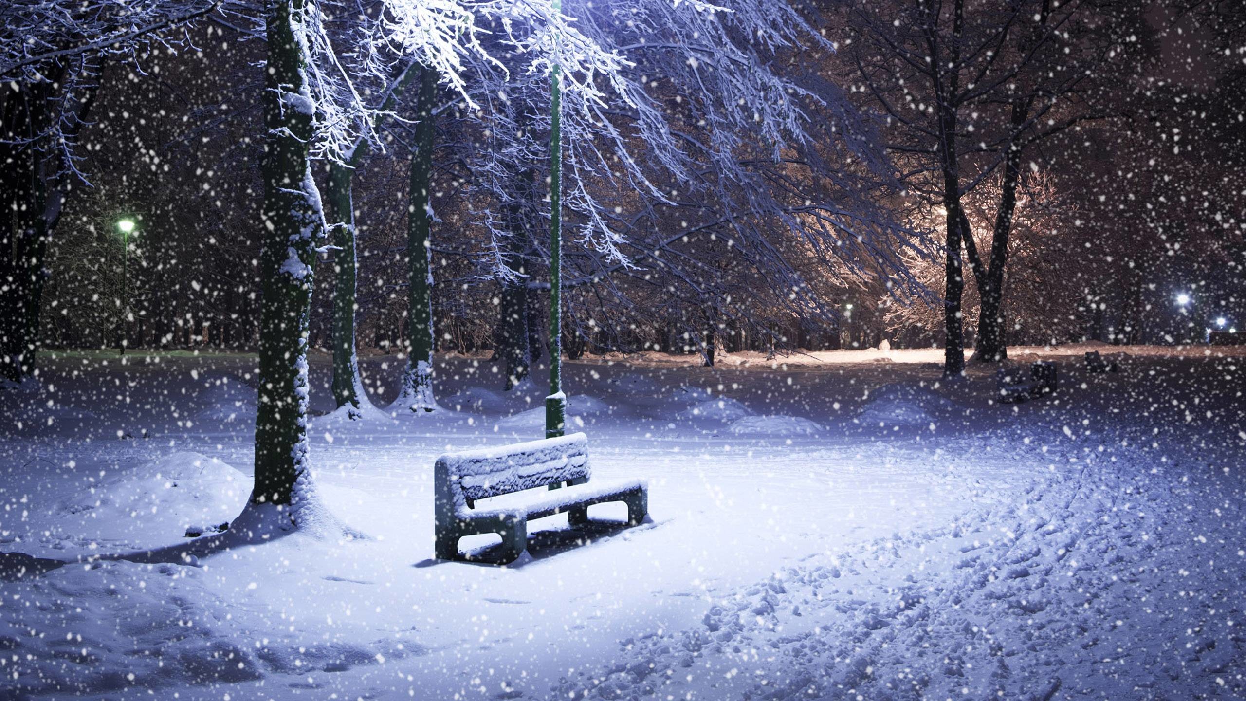 2560x1440 Winter Snow Pictures Wallpaper for PC Full HD Pictures 1680Ã1050 Winter  Wallpapers For PC