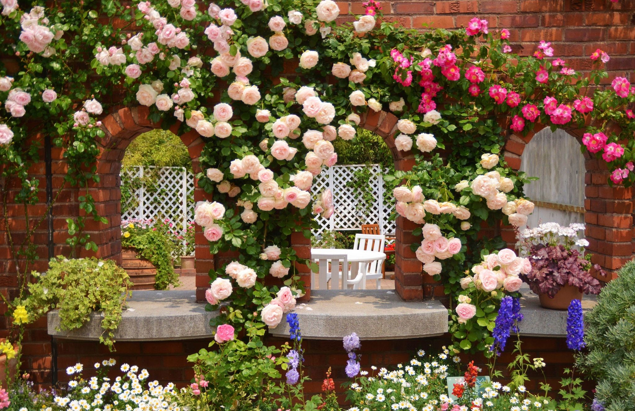 2048x1328 Rose Garden Wallpapers High Resolution