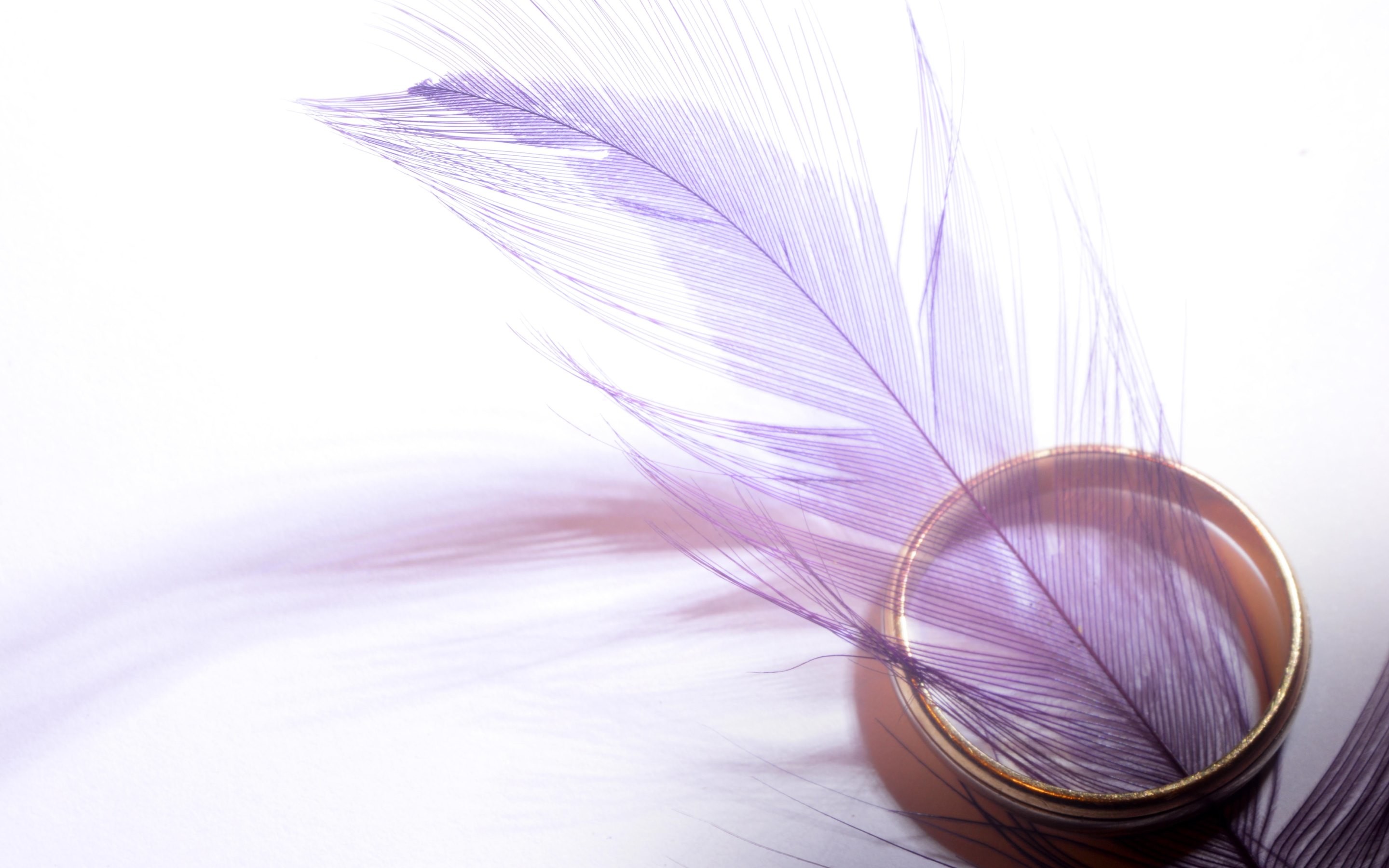 2880x1800 4K HD Wallpaper: Purple Feather and Gold Ring