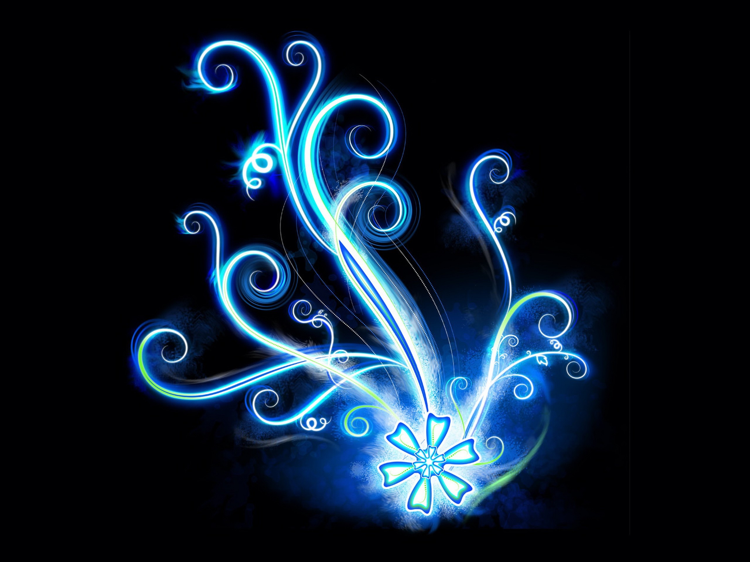 2560x1920 Blue Luminous Flower - gifs abstract - Recherche Google