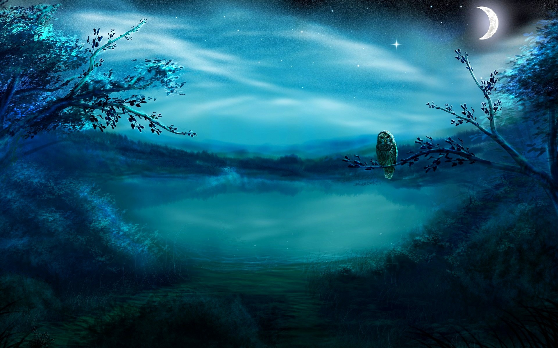 1920x1200 Beautiful Night Scenery Wallpaper Forest with lake at night