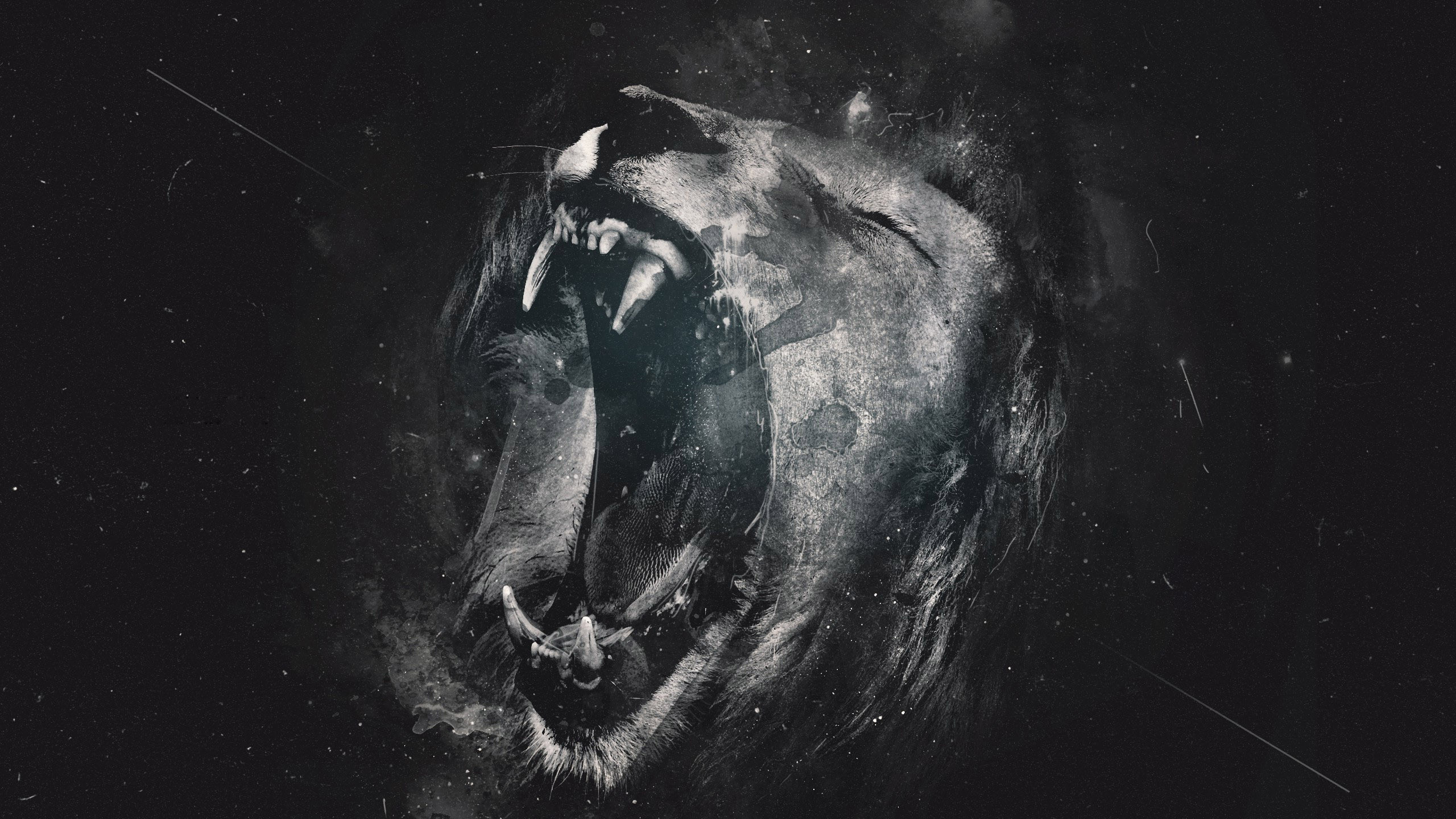 2560x1440 Lion Black And White Wallpaper Hd Resolution