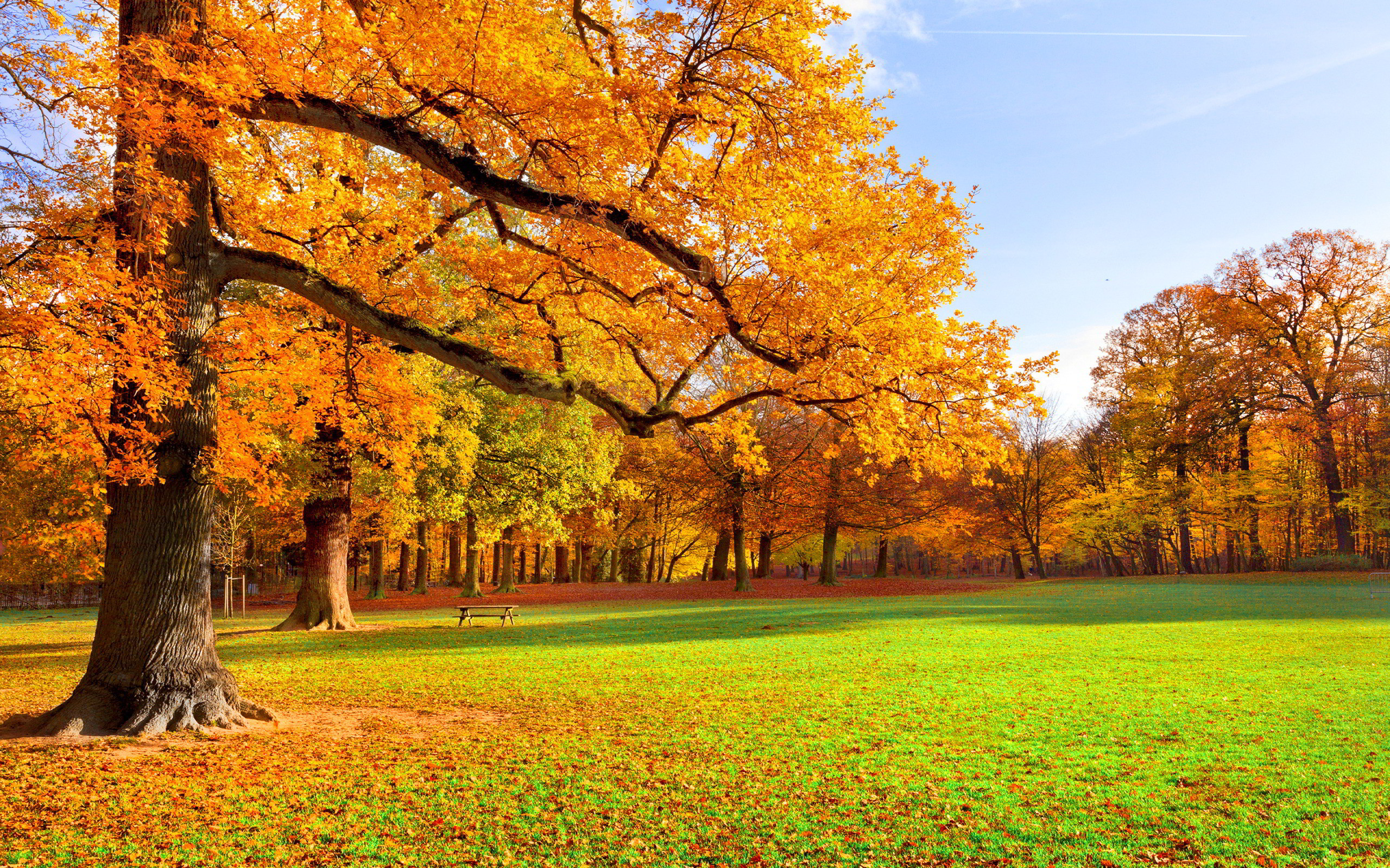 2560x1600 Nature's Seasons images Autumn Season HD wallpaper and background photos