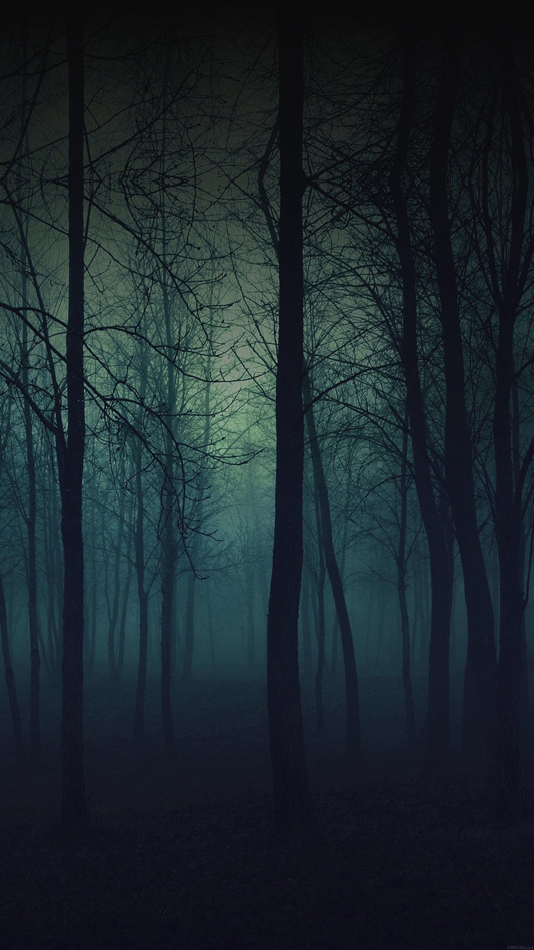 1080x1920 Eerie Forest Night iPhone 6 Plus HD Wallpaper ...