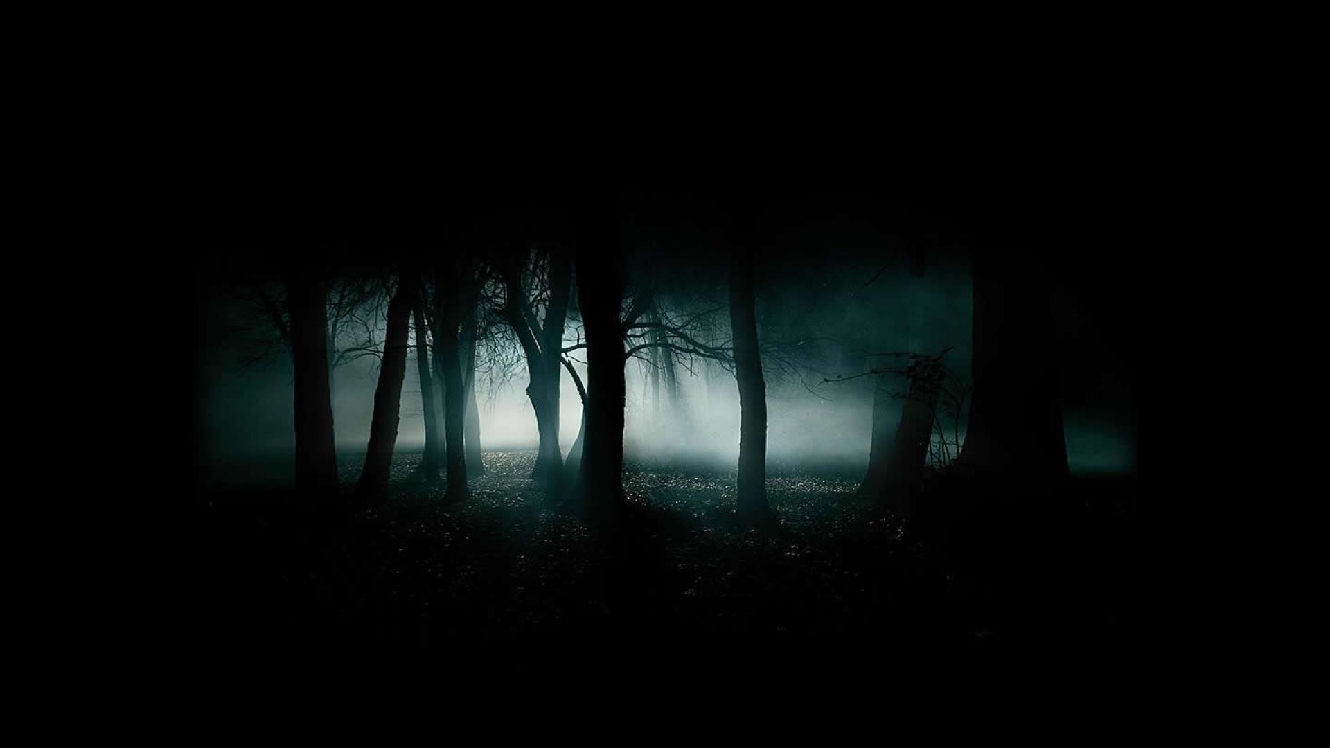 1920x1080 Download Scary Dark Forest Kostenlos Wallpaper  | HD .