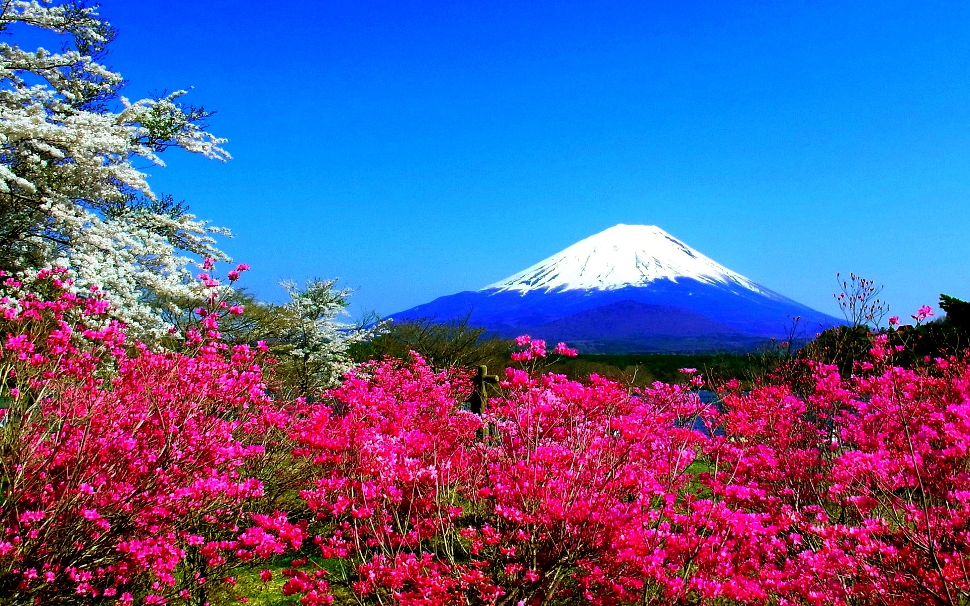 Japanese Nature Wallpaper 46 Images Japanese Nature Wallpaper 46 Images