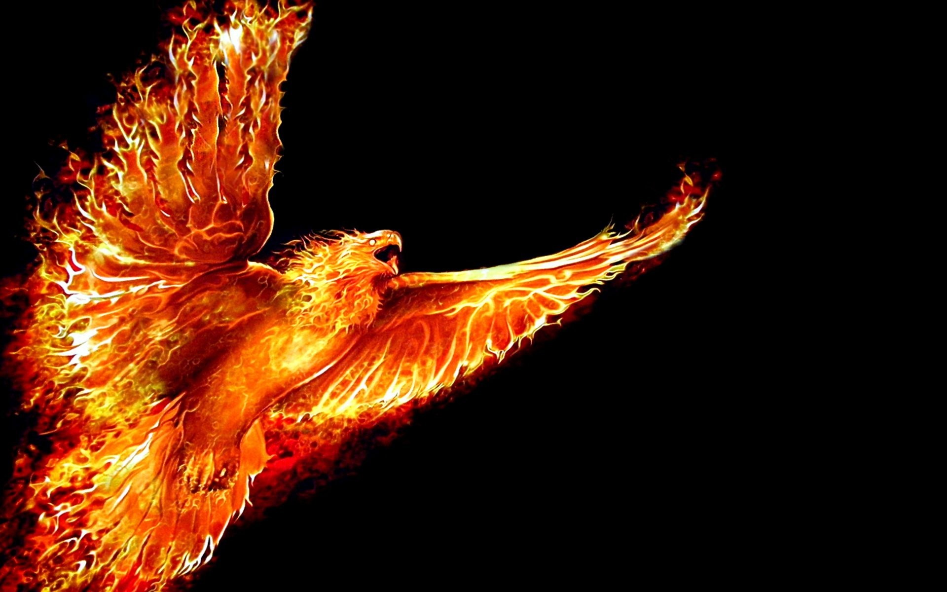 Phoenix Bird Stock Photos, Images and Backgrounds for Free Download