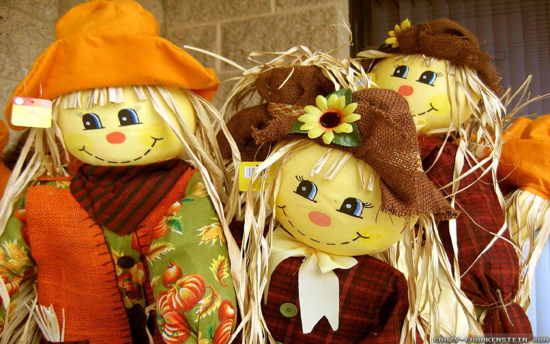 1920x1200 Wallpaper: Scarecrows for autumn decorations wallpapers. Resolution:  1024x768 | 1280x1024 | 1600x1200. Widescreen Res: 1440x900 | 1680x1050 |  