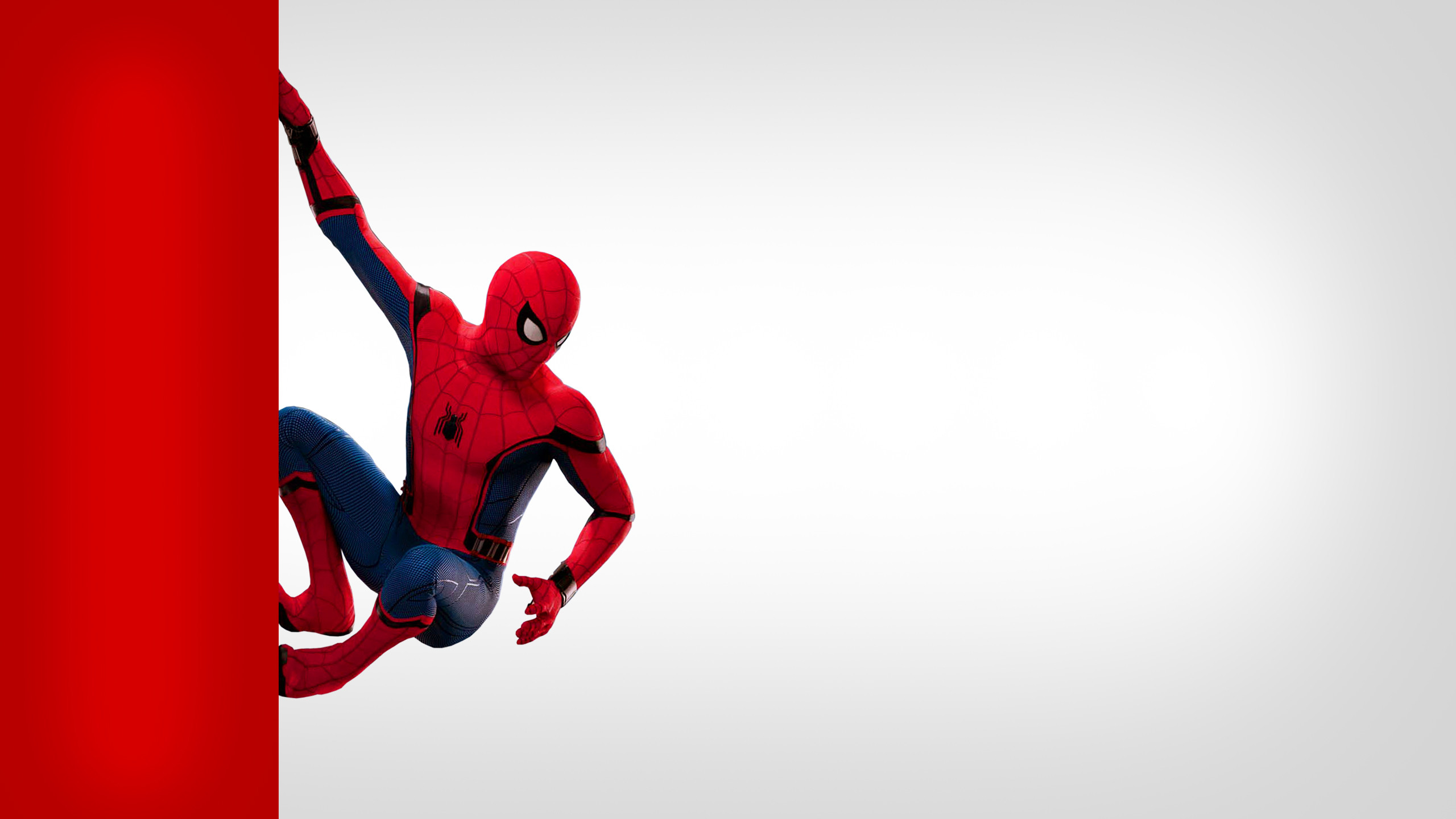 2560x1440 Spider-Man Homecoming wallpapers