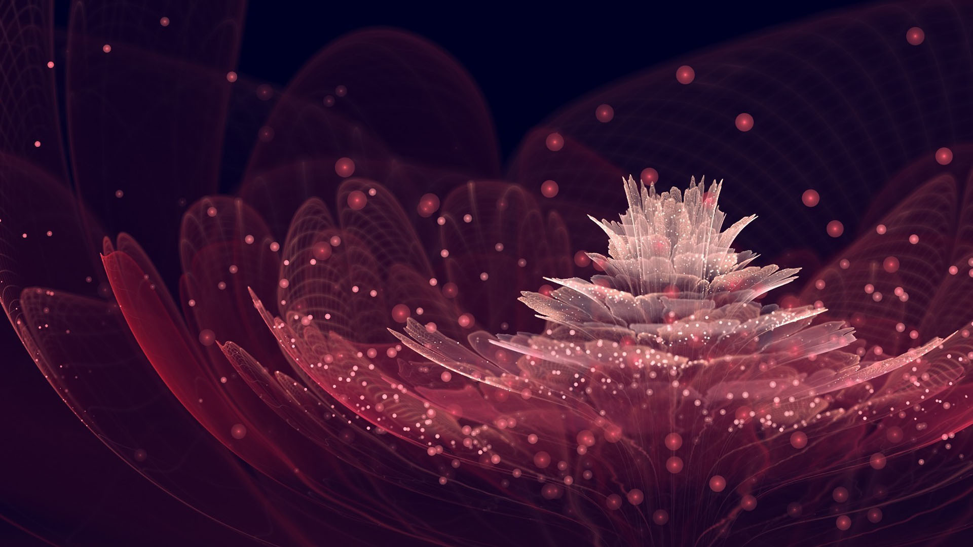 1920x1080 Nothing found for Flower Petals Neon Mesh Sparks Pink Black .