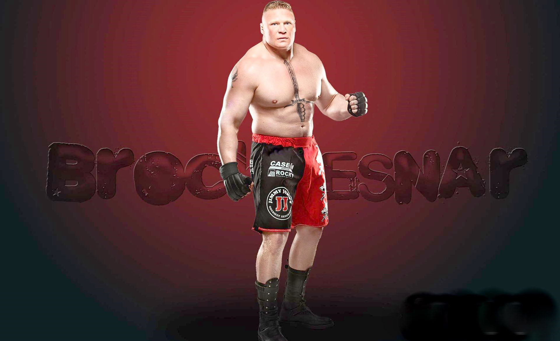 1920x1168 WWE Superstar Brock Lesnar HD Images