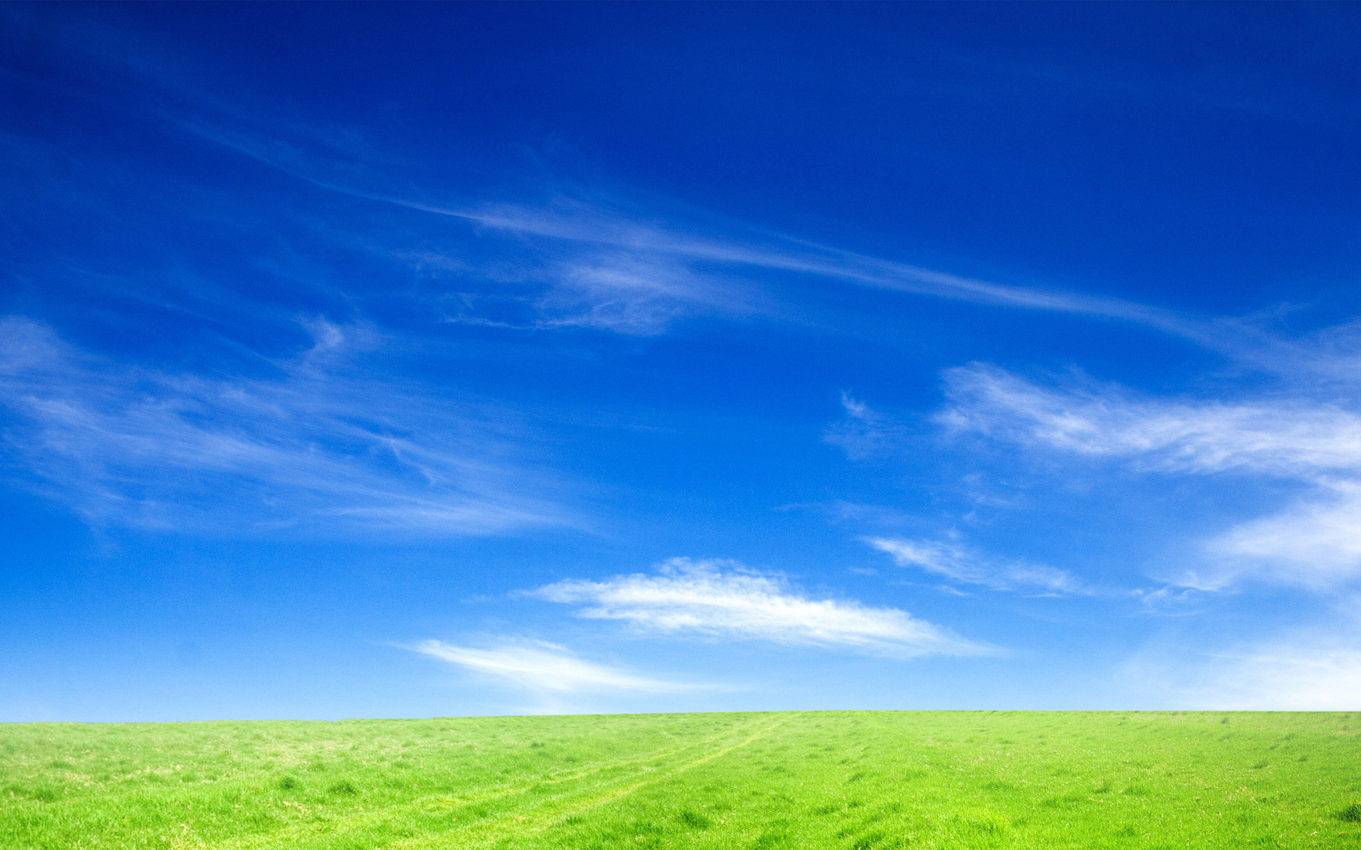 1920x1200 Blue Sky and Green Grass HD wallpaper thumb