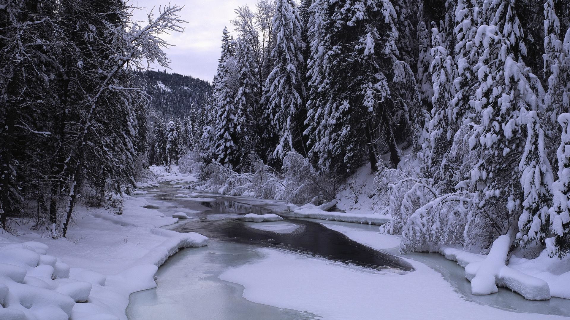 1920x1080  Beautiful Winter Snow Landscape Backgrounds
