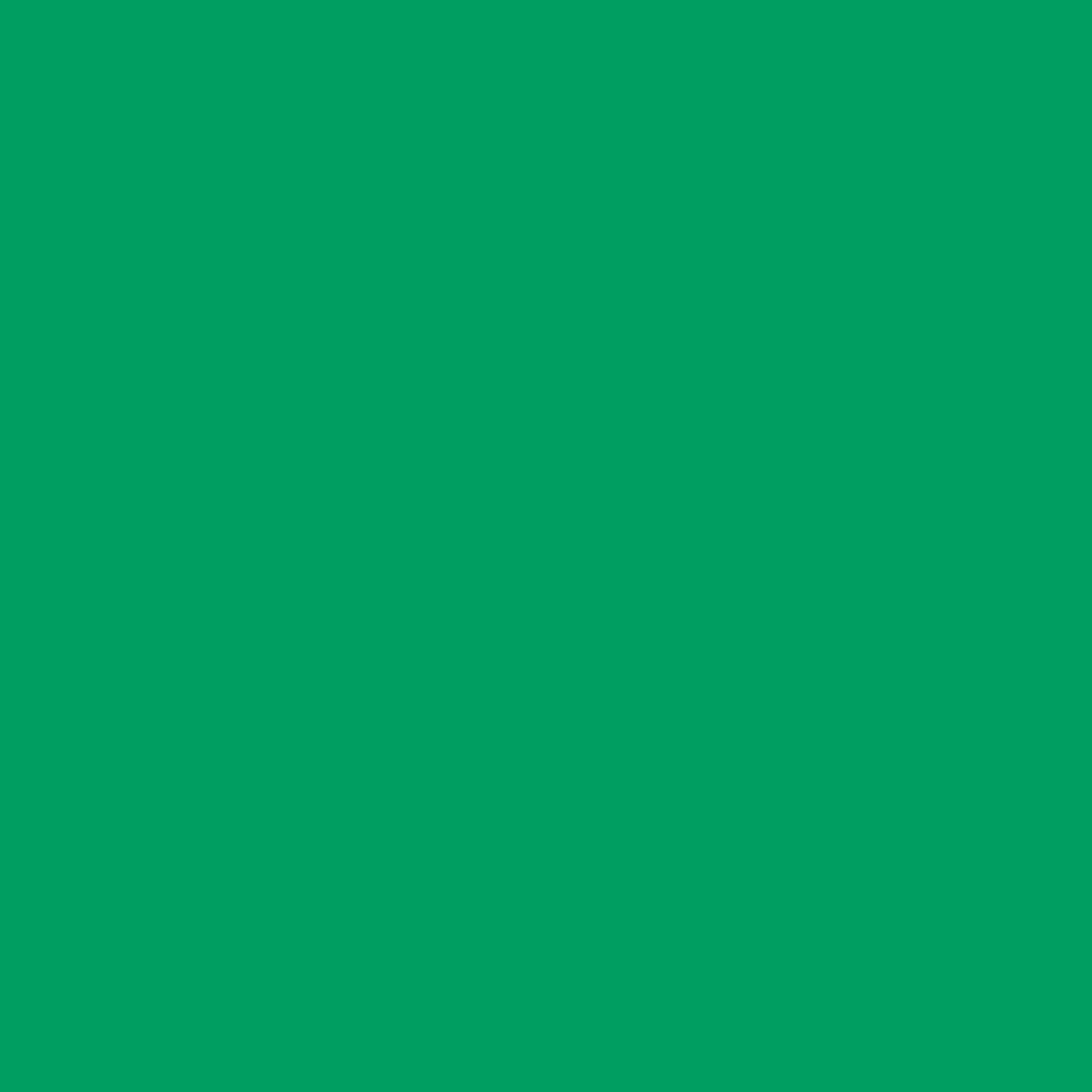 2048x2048  Shamrock Green Solid Color Background