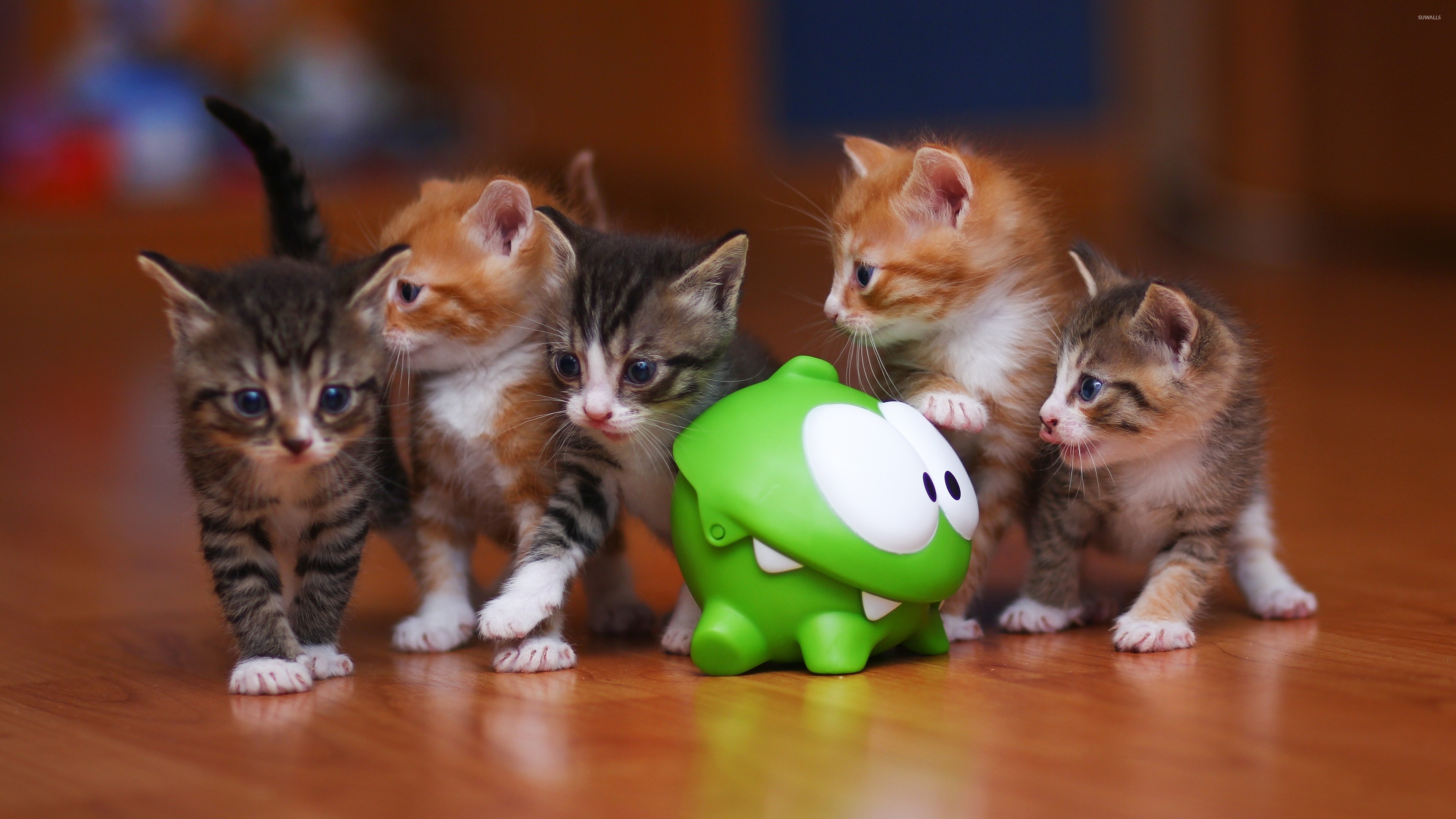 3840x2160 Cute kittens wallpaper