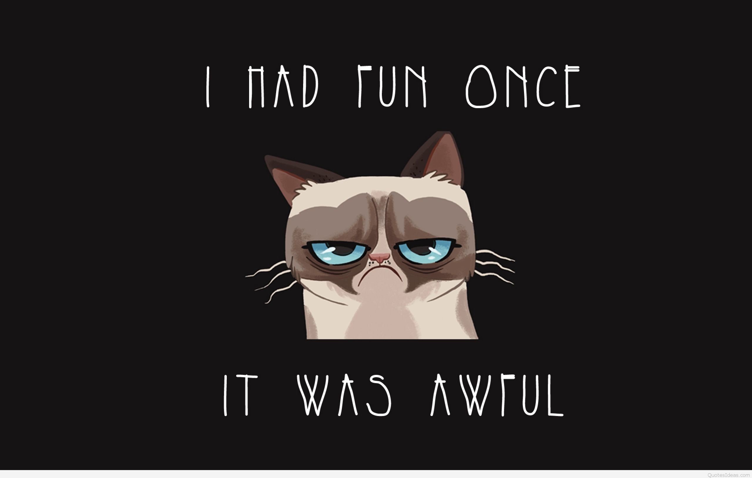 2560x1627 ... grumpy-cat-quotes-funny-wallpaper