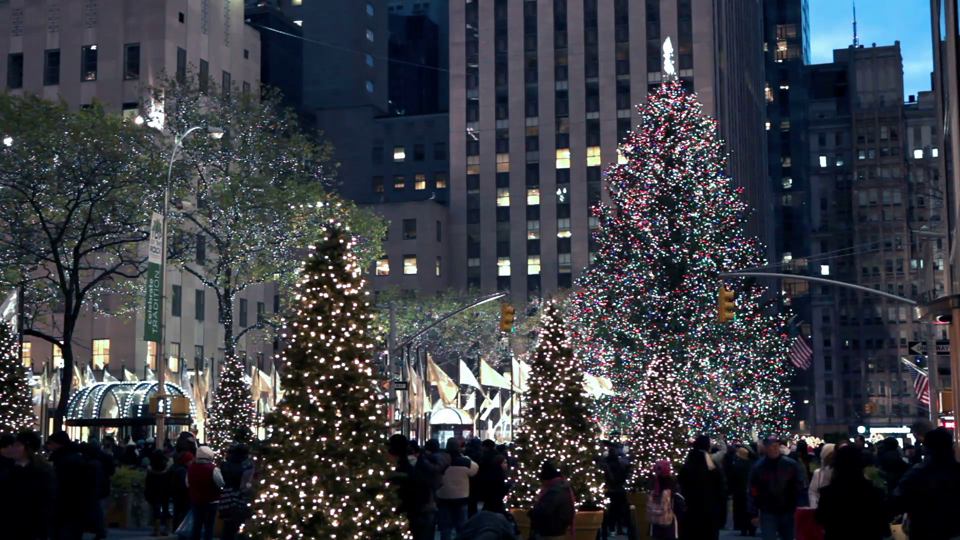 1920x1080 Christmas Tree And Lights In New York City 3 Stock Video Footage