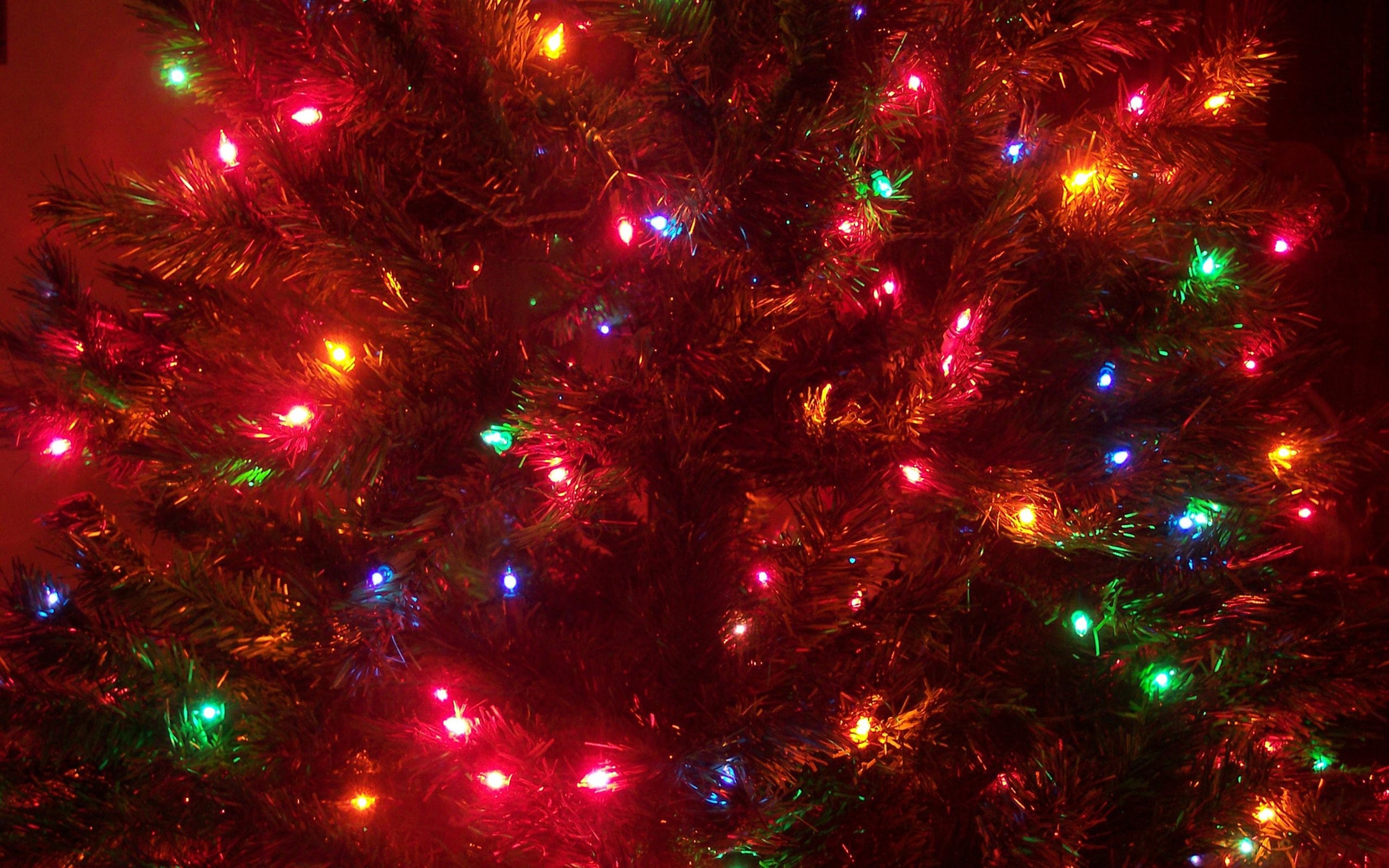2560x1600 Merry Christmas holiday vacation gifts tree happy beautiful santa snowman  lights wallpaper |  | 538460 | WallpaperUP