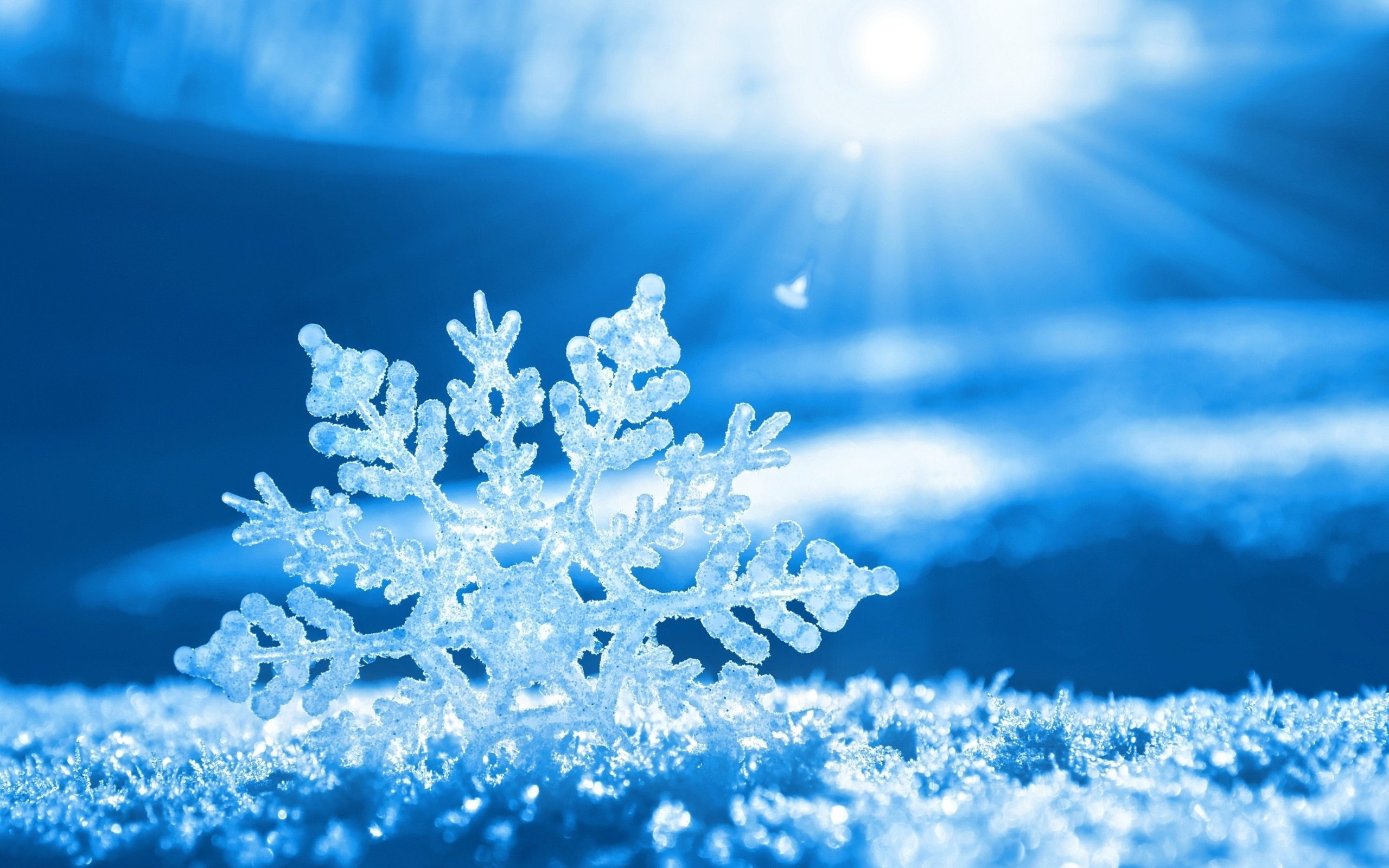 2560x1600 Snowflake Pictures