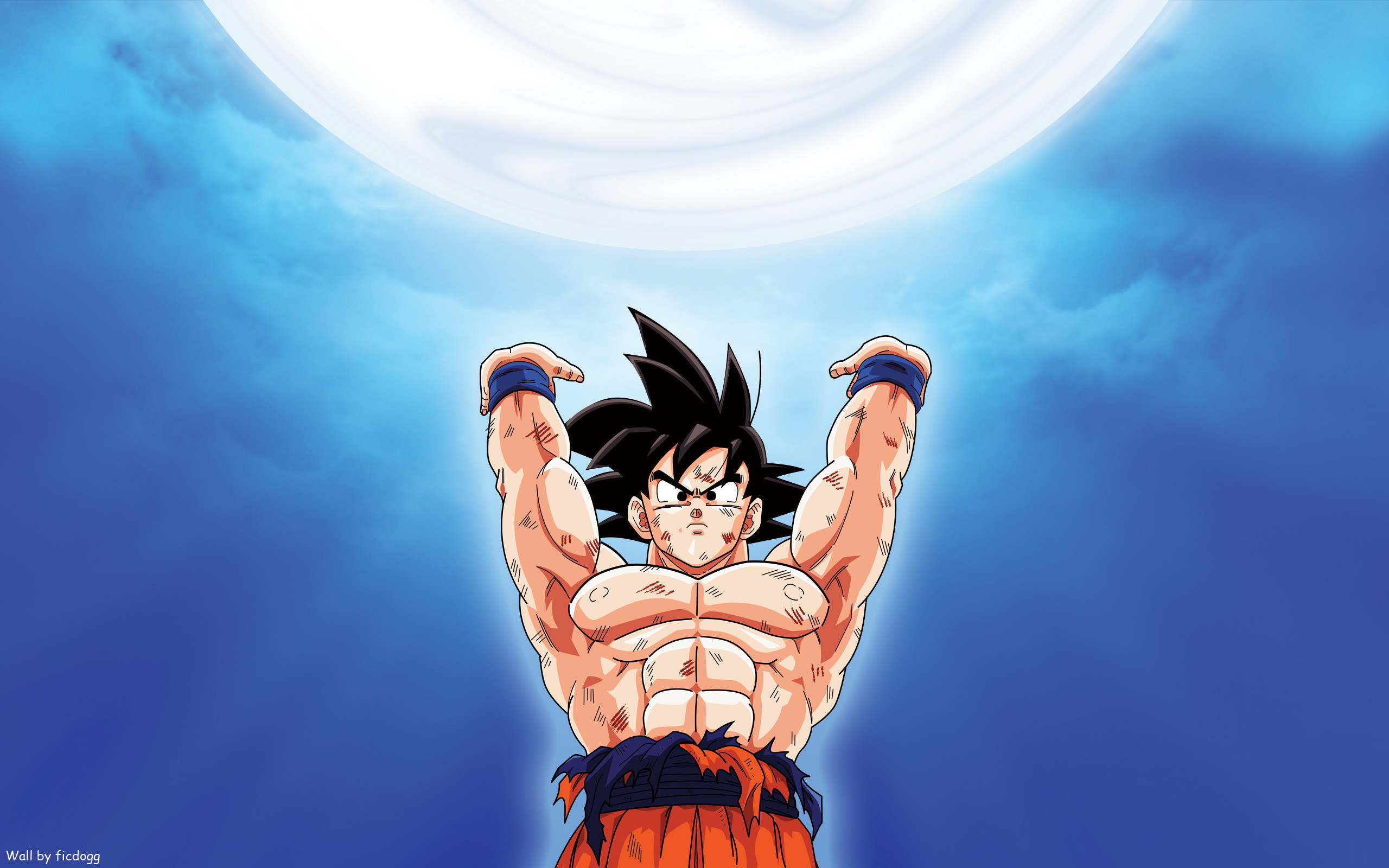 2560x1600 Anime - Dragon Ball Z Dragon Ball Anime Goku Wallpaper