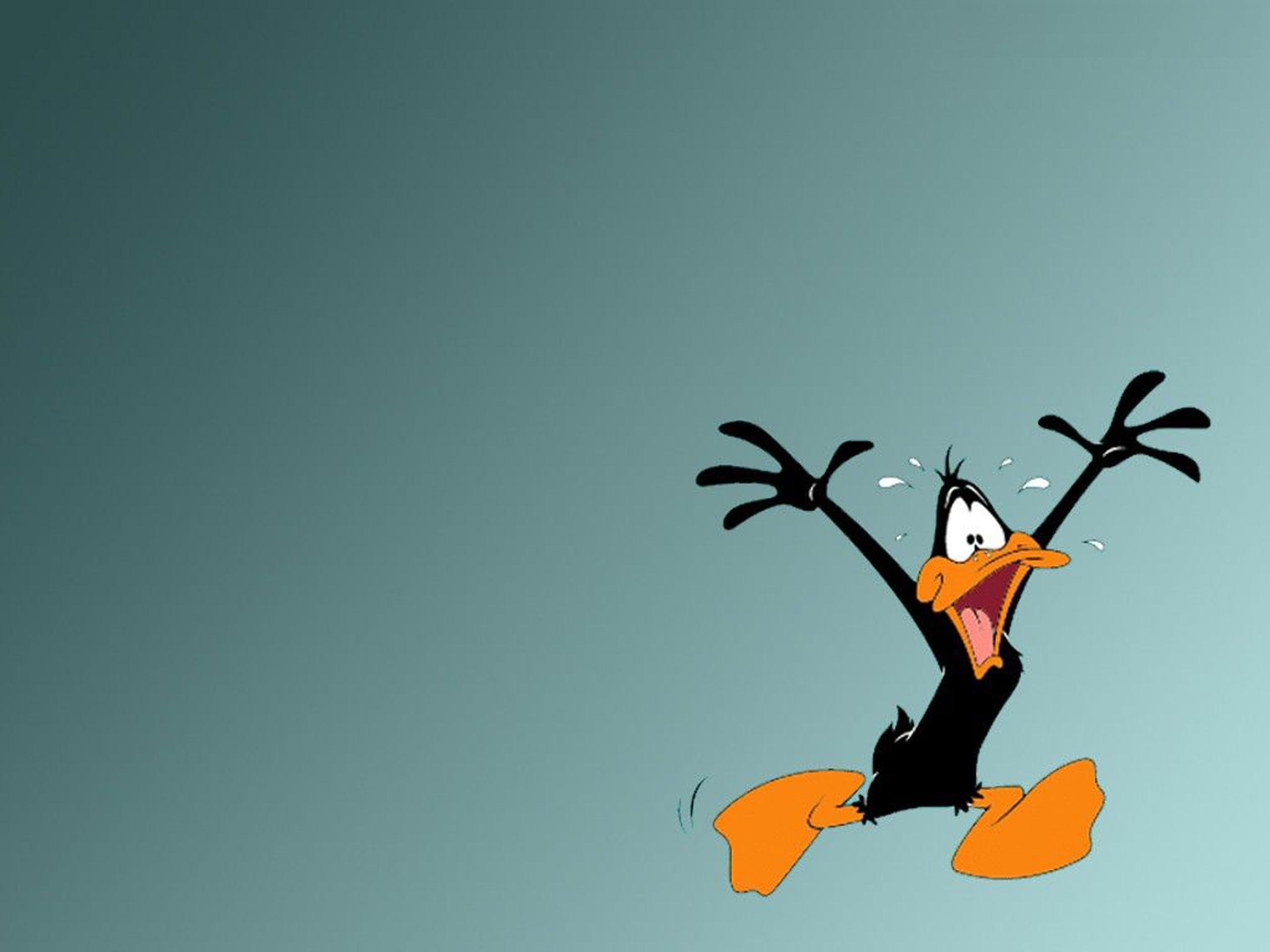 2560x1920 Daffy Duck Looney Tunes
