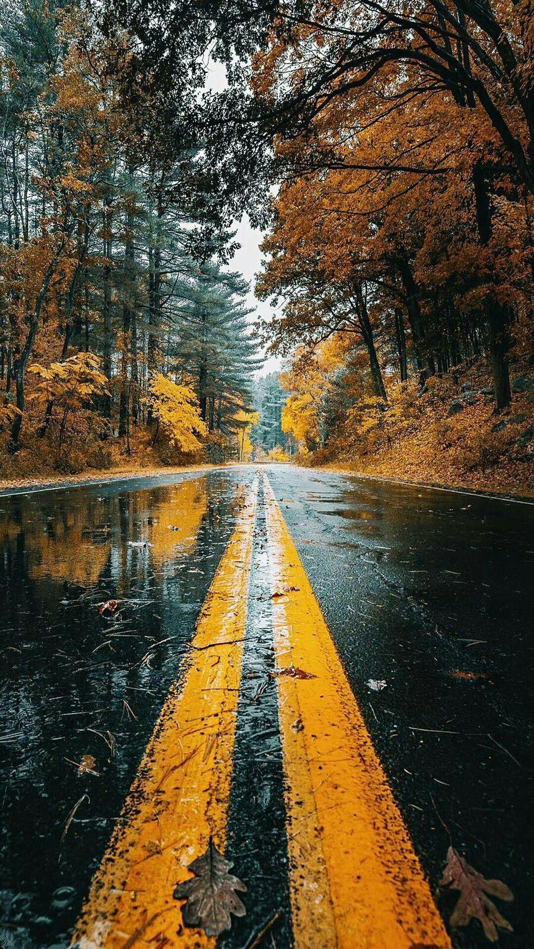 1080x1920 Amazing road beauty Wallpaper 4k Android Wallpaper Nature, 4k Phone  Wallpapers, 4k Wallpaper Iphone