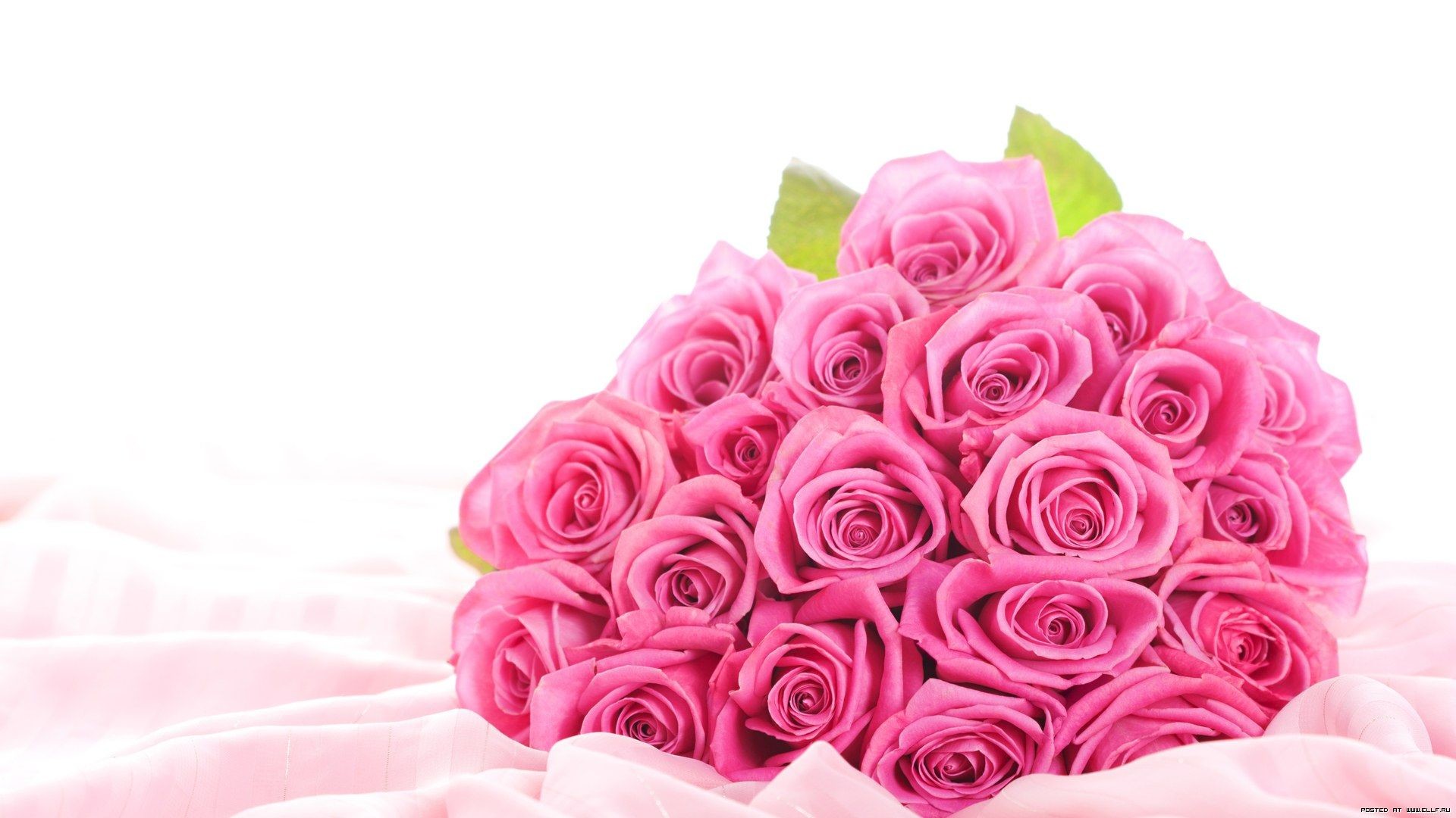 1920x1080 Rose Flowers Images Collection 1600Ã1000 Rose Flower Wallpaper (56  Wallpapers) | Adorable