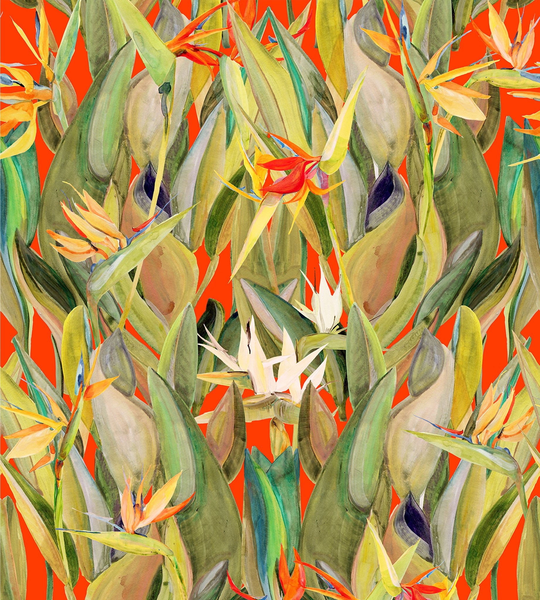 1843x2048 Birds of Paradise on Red Wallpaper